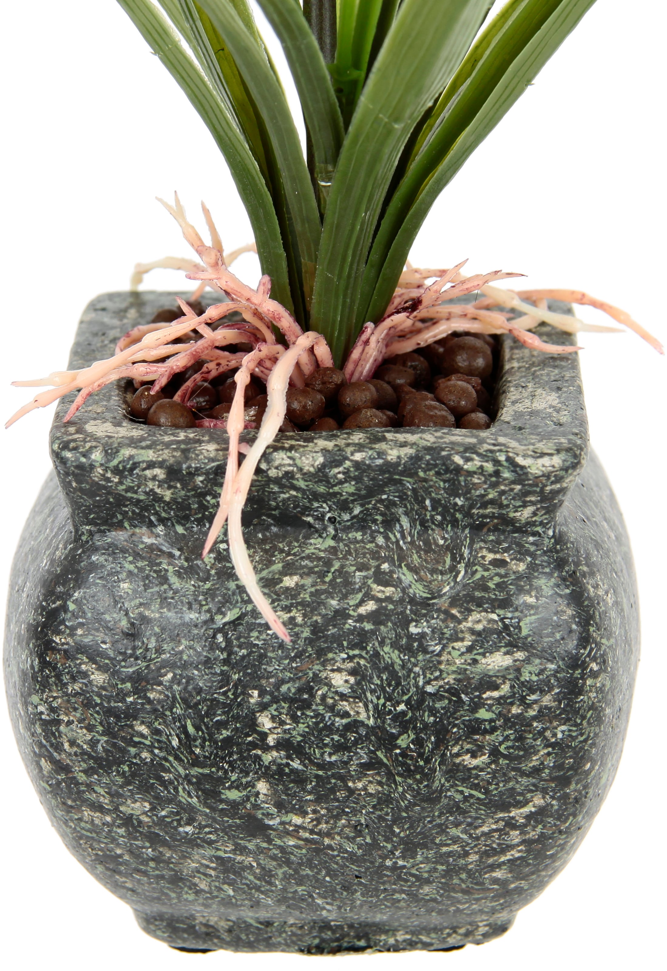 my home Fleur artificielle »Orchidee« Mit Blätter im Topf aus Zement Künstliche Blume Cymbidium-Orchidee