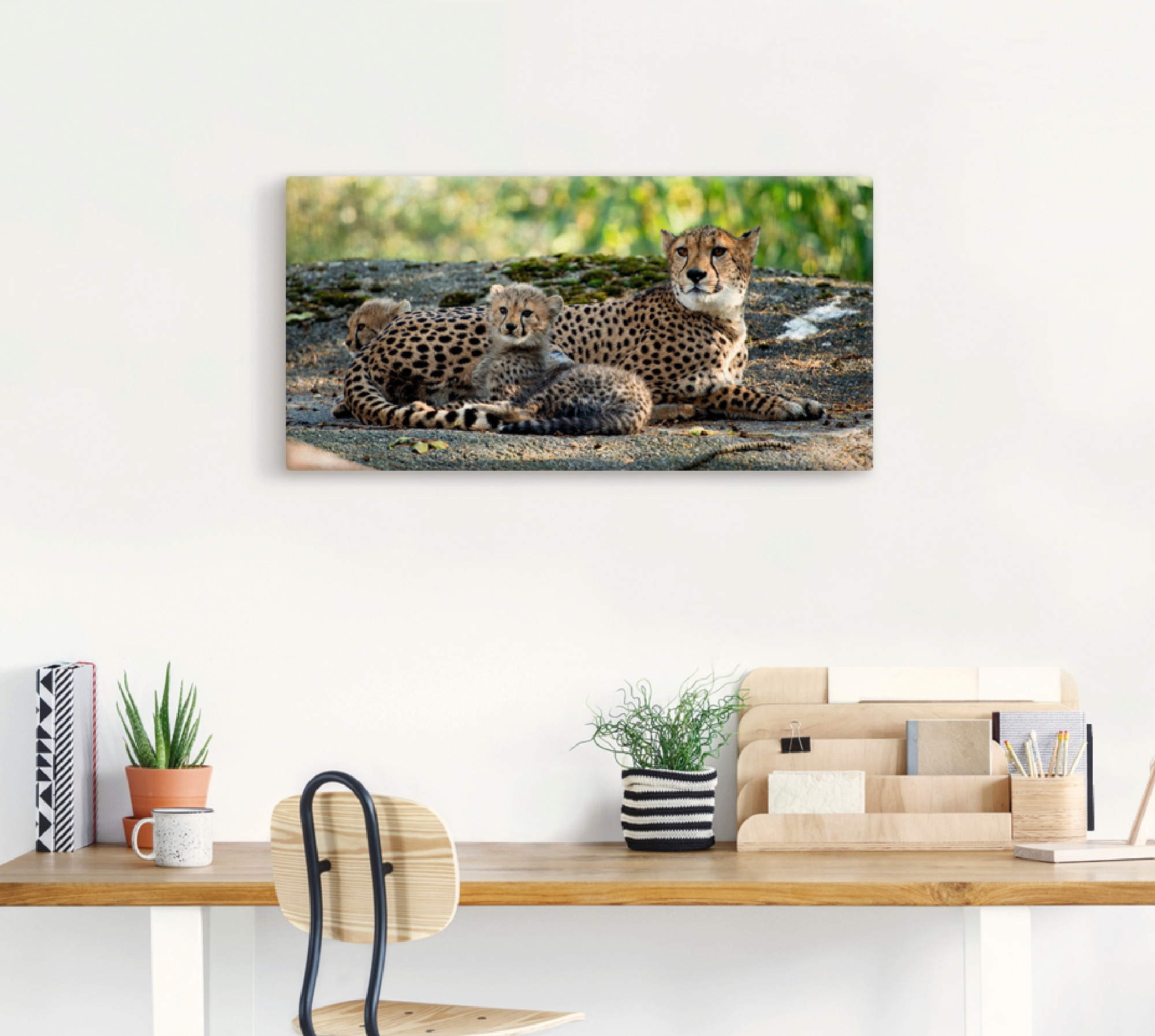 Artland Leinwandbild »Gepard 2« Wildtiere 1 Stk. tlg. auf Holzrahmen gespannt