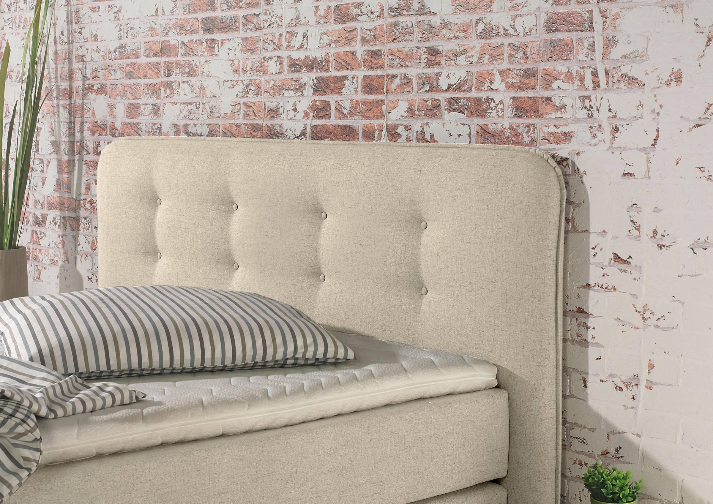 Home affaire Lit boxspring »Cecina« in 5 Breiten, 3 Ausführungen, 2 Härtegrade, Knopfheftung, Topper