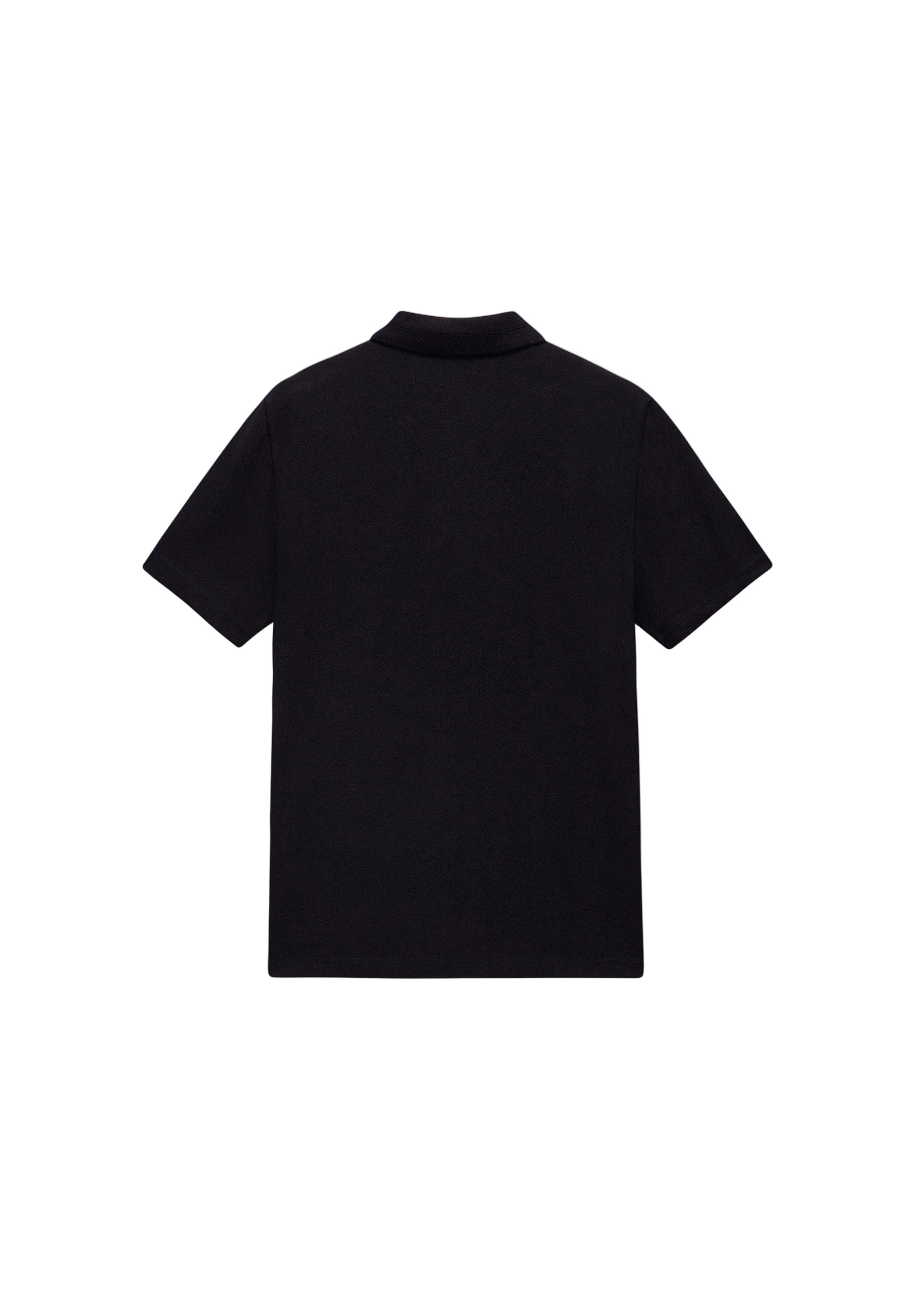 Napapijri Poloshirt »Napapijri Polo EALIS SS«