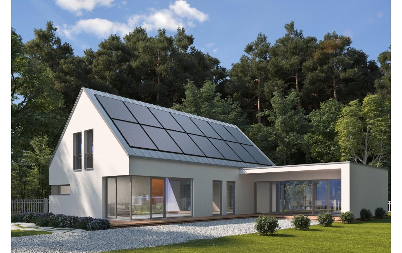 Ecoflow Solarmodul »Starres 175 W«