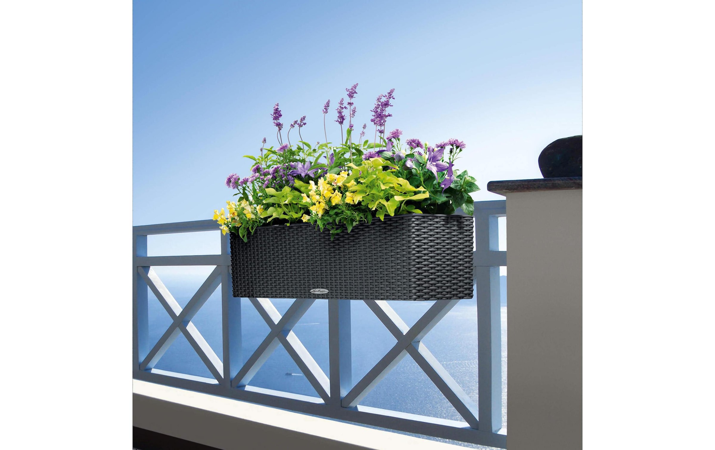   Pot de fleurs »Lechuza Balconera Cottage 80 Anthrazit«