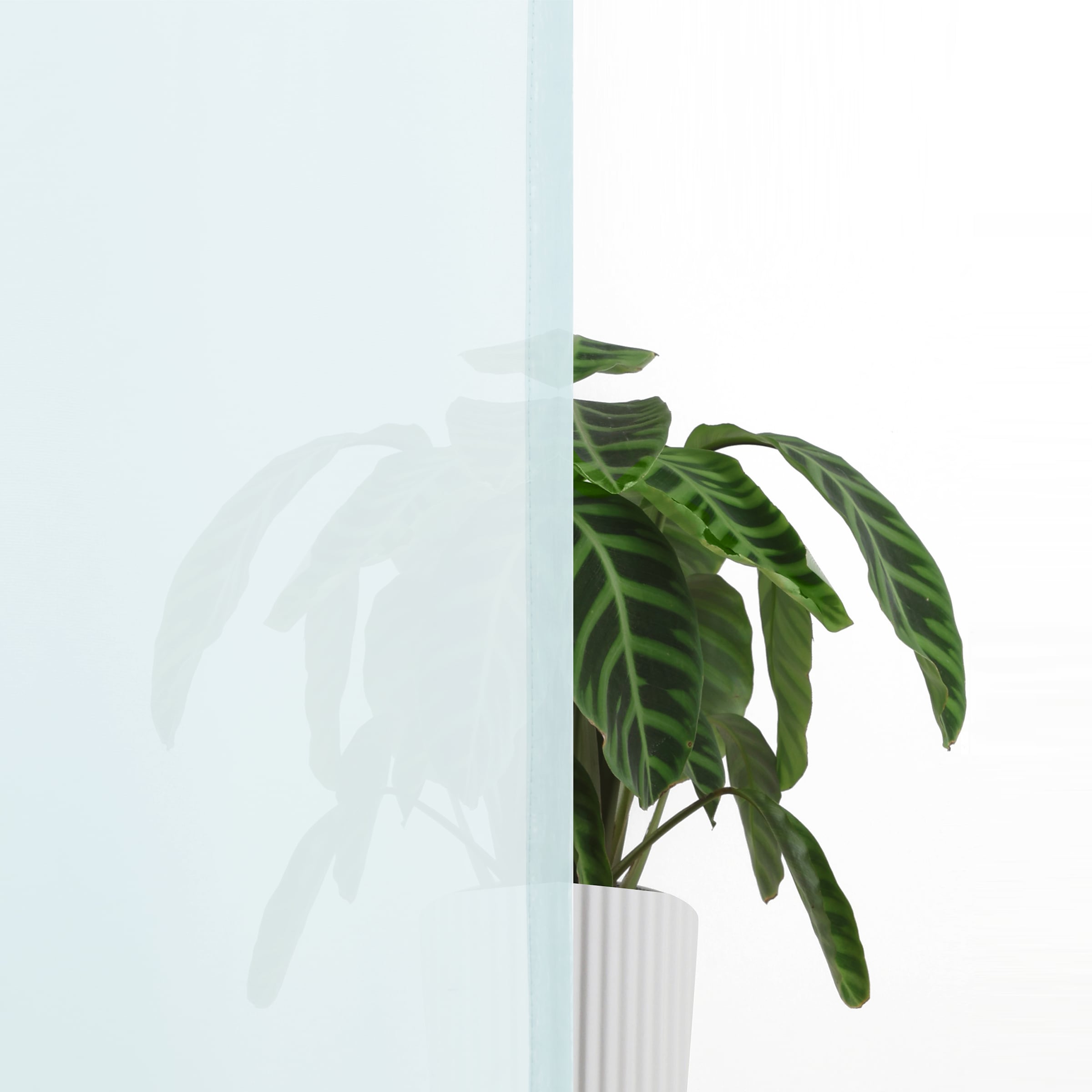 GOODproduct Gardine »XANA« Schlaufen 1 Stk. tlg. Bestseller, einfarbig, 1 Schal, pflegeleicht, preiswert!