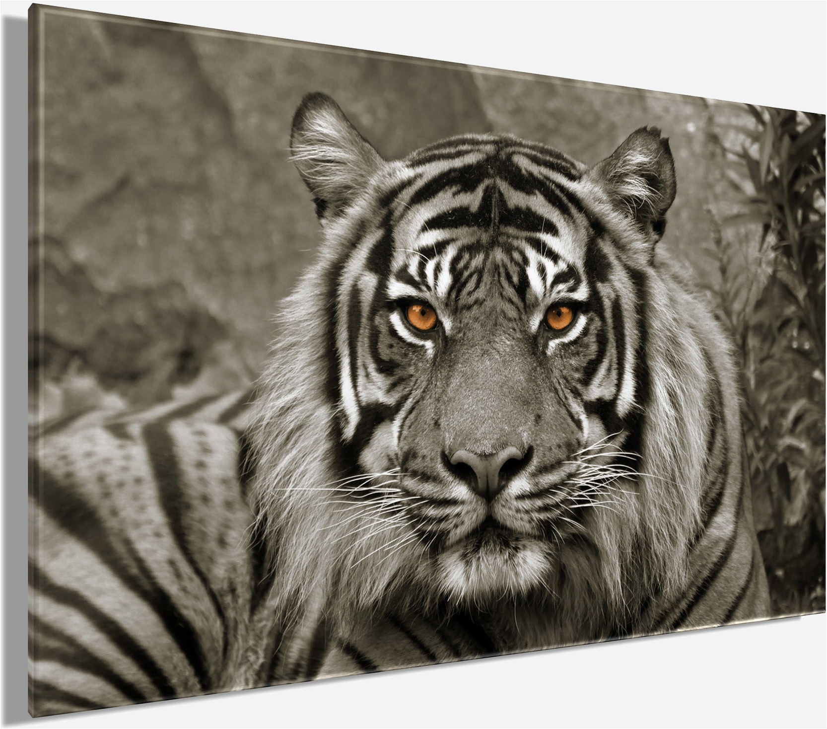 Bönninghoff Tableau sur toile »Wandbild TIGER 78x118 cm – Leinwandbild Keilrahmen Deko modern« Animaux sauvages | Félins | Tigre 1 cuis tlg. tendu sur châssis
