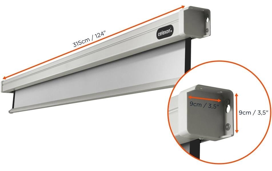 Celexon Motorleinwand »Pro 290x163 cm«