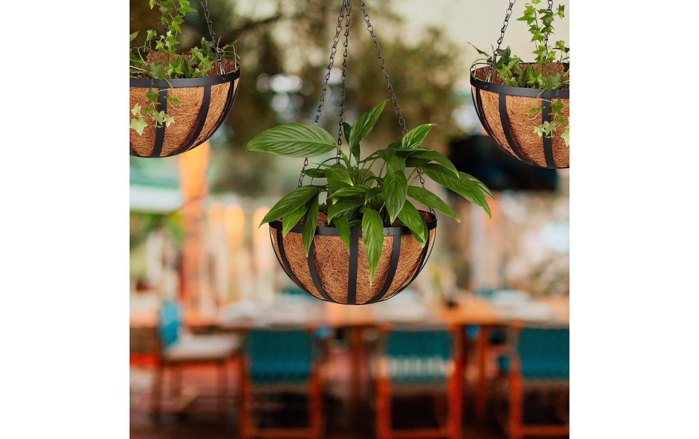 relaxdays Blumenampel »Kokos 3er Set« Blumenampel im 3er-Set mit Kokoseinlagen und Eisenketten