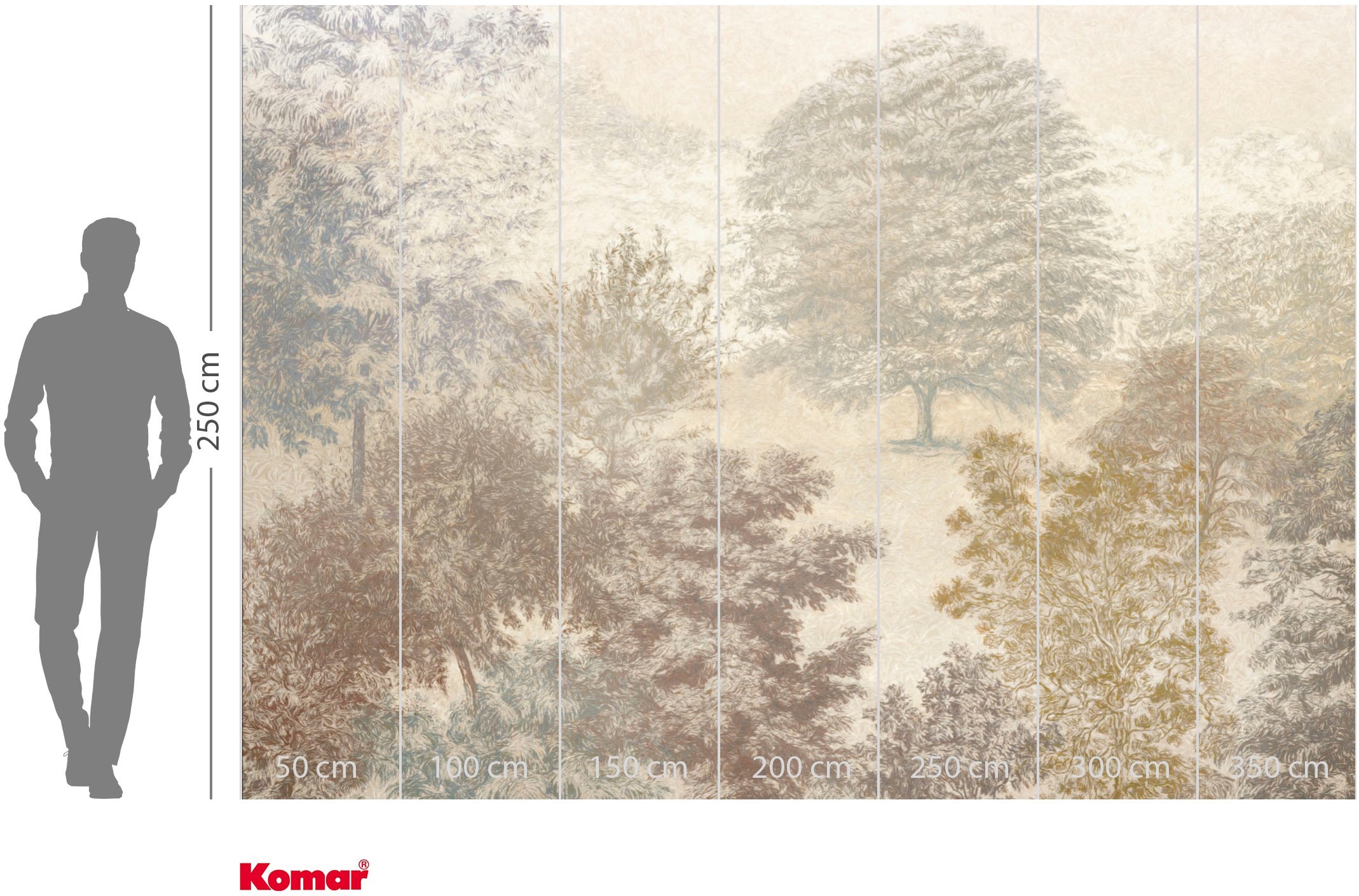 Komar Papier peint photo »Vlies Fototapete - Herbstwald - Grösse 350 x 250 cm« Motif | imprimé lisse