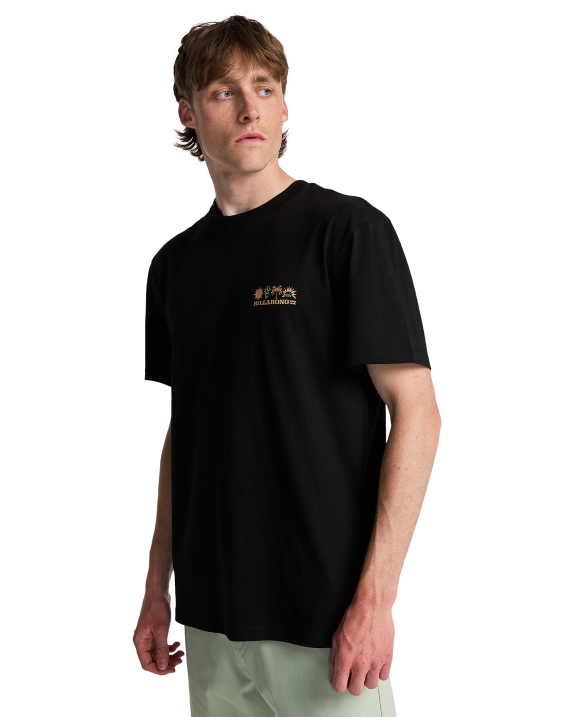 Billabong T-shirt »Segment«