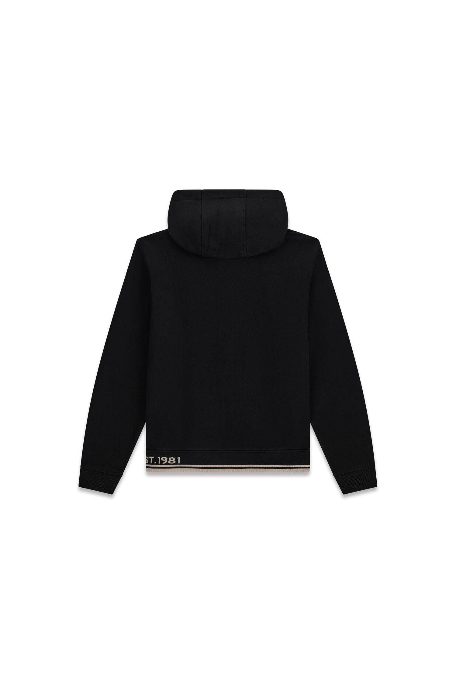 Guess Sweat à capuche Kapuze mit Kordelzug, Regular Fit, Baumwoll-Mix