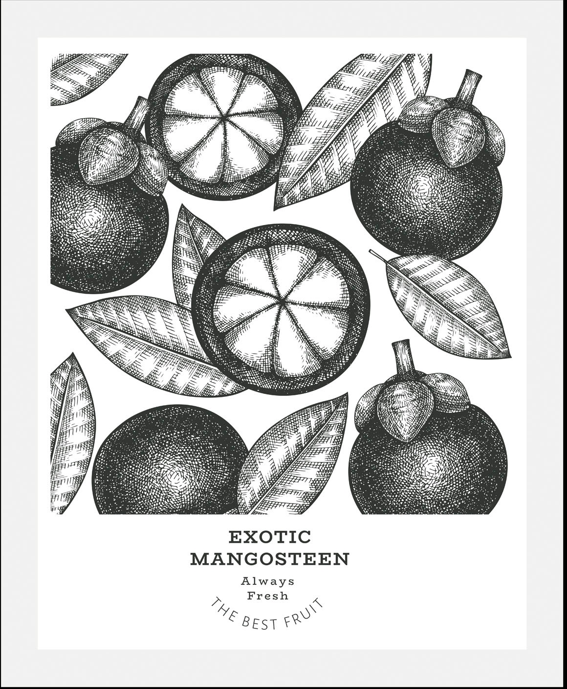 queence Bild »Exotic Mangosteen« Essen | Kunst | Lebensmittel | Obst | Obst Bilder | Schriftzug | Schwarz-Weiss 1 Stk. tlg. gerahmt