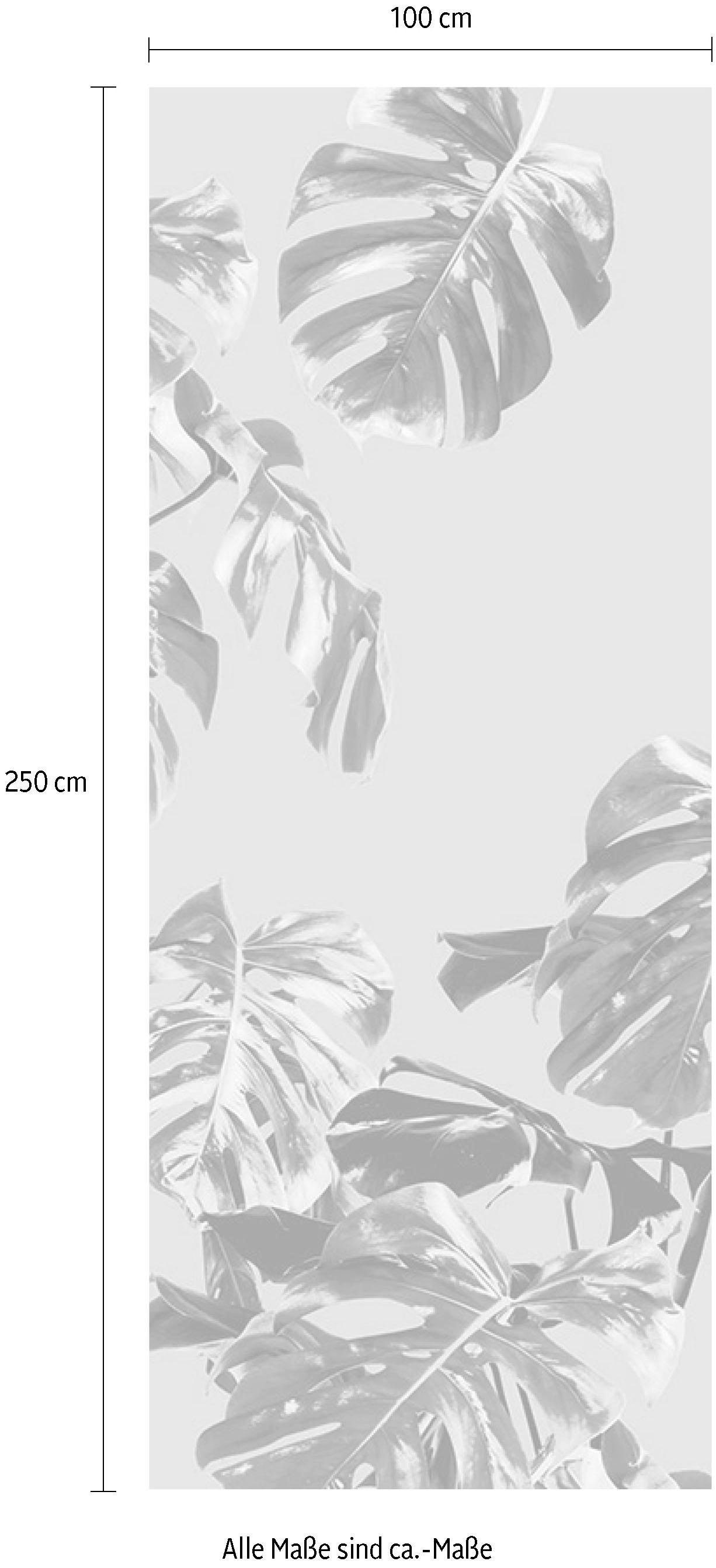 Komar Papier peint intissé »Digitaldruck Vlies -  Monstera Rosé Panel - Grösse 100 x 250 cm« imprimé Wohnzimmer, Schlafzimmer