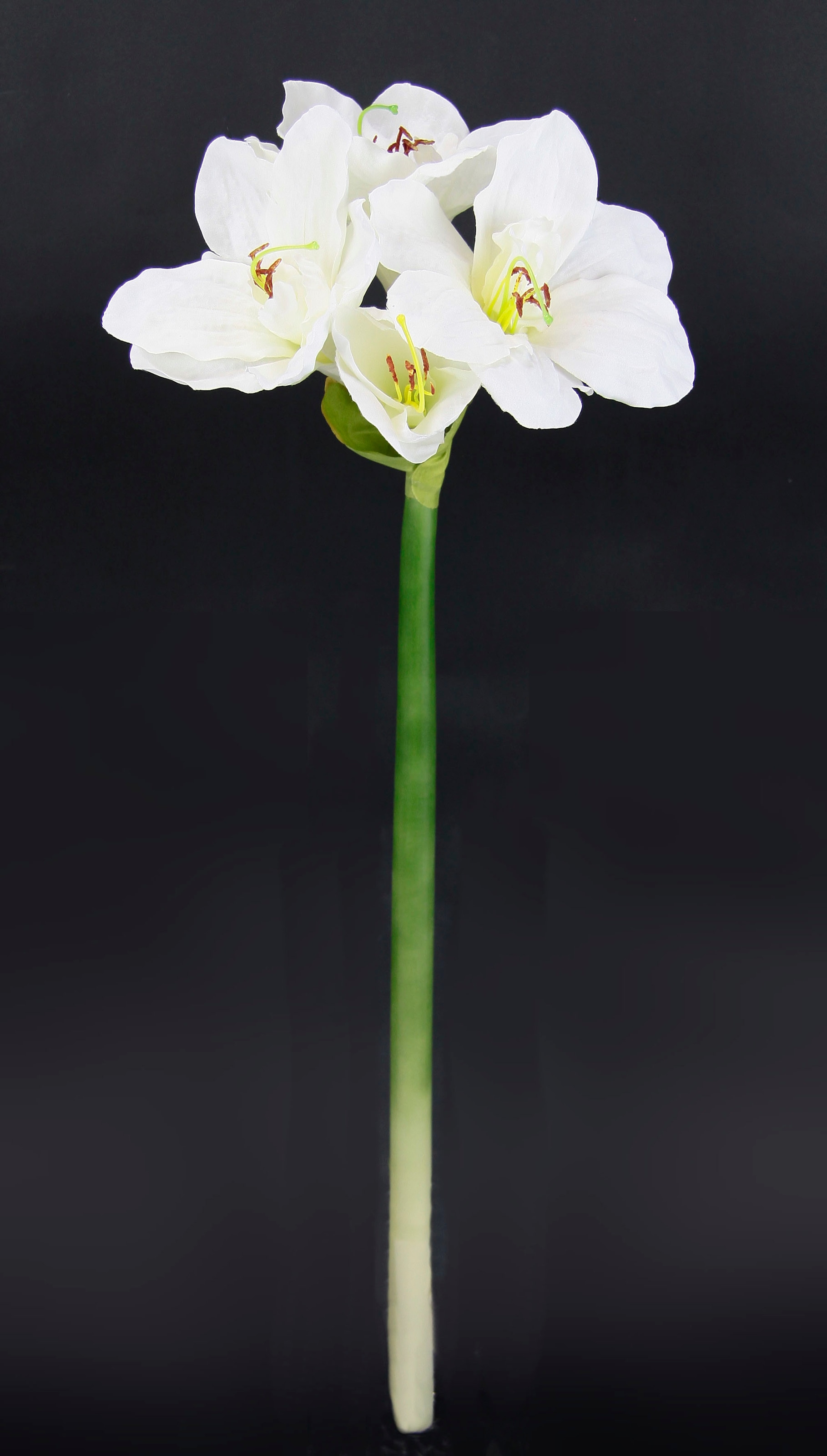 I.GE.A. Fleur artificielle »Amaryllis« Kunst-Stielblume, 3er Set