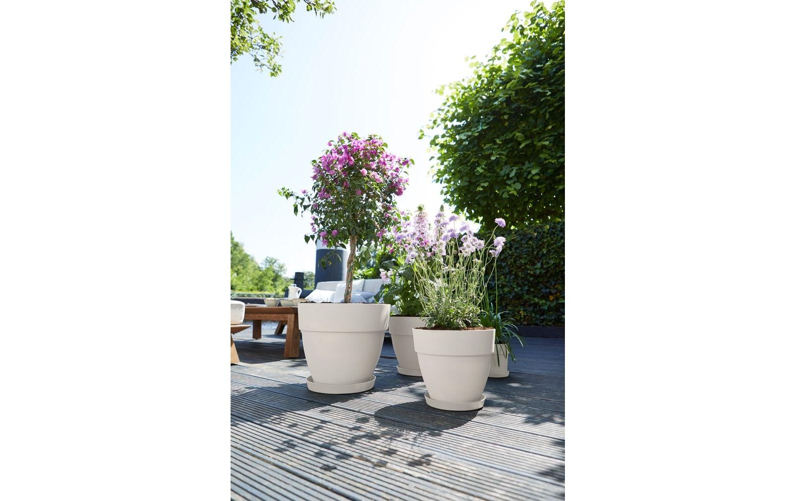 Elho Pot de fleurs »Vibia Campana Rund«