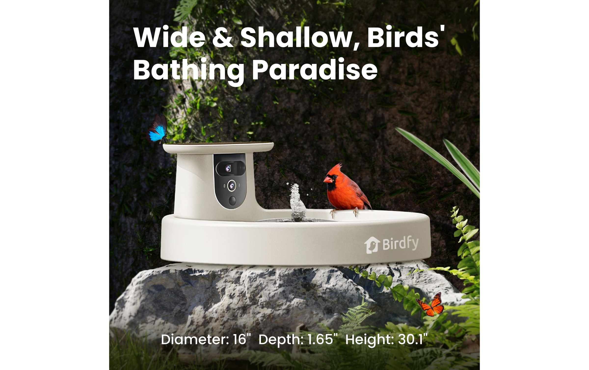Birdfy Mangeoire pour oiseaux »Vogelbad mit Kamera« Solarbetrieben, KI und Video Vogelerkennung