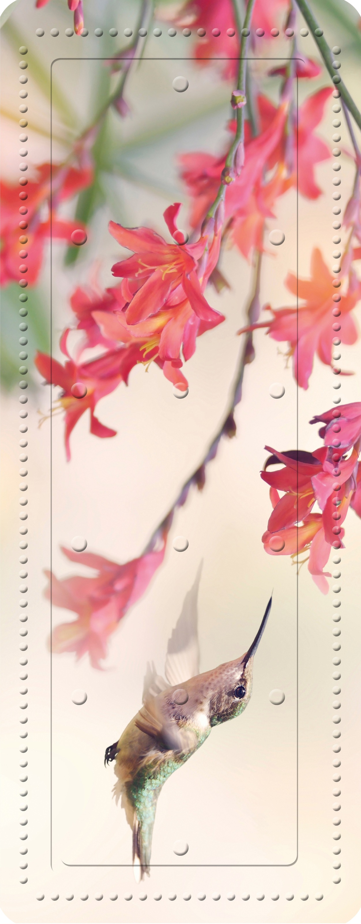 Kleine Wolke Tapis de baignoire »Kolibri«