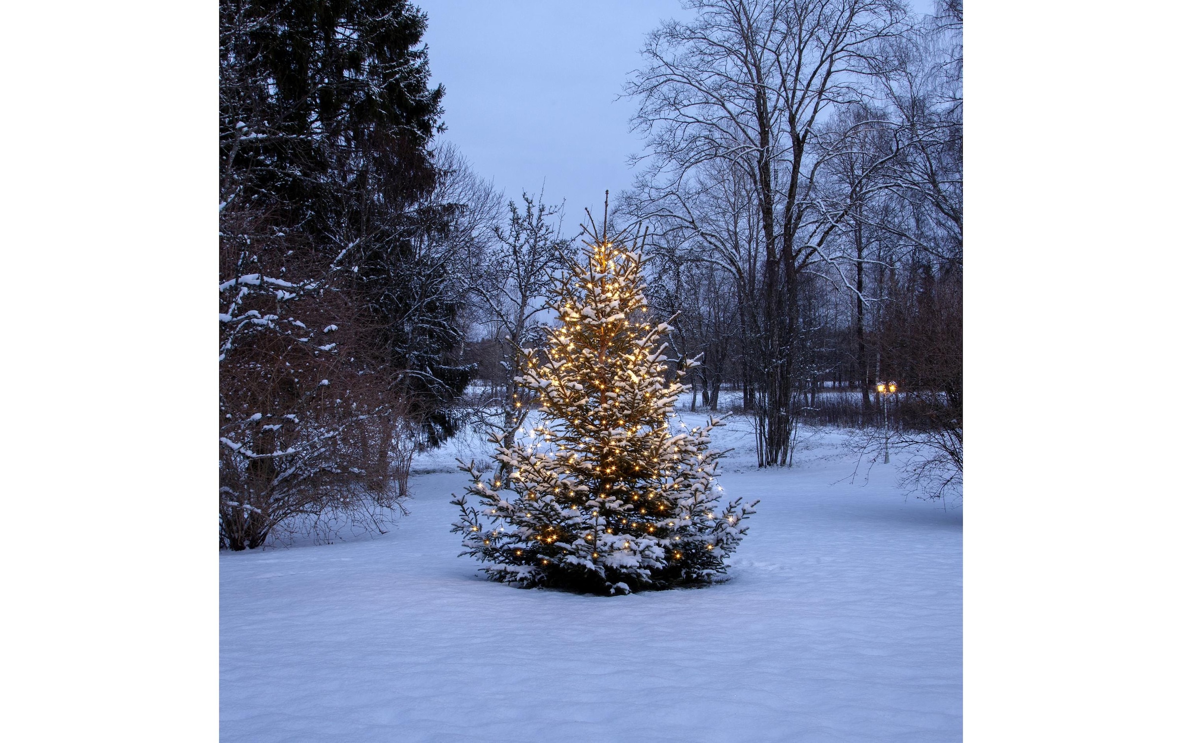   Guirlande lumineuse »Christmas Tree Light Shiny IP44, Warmweiss, 360 LED's«