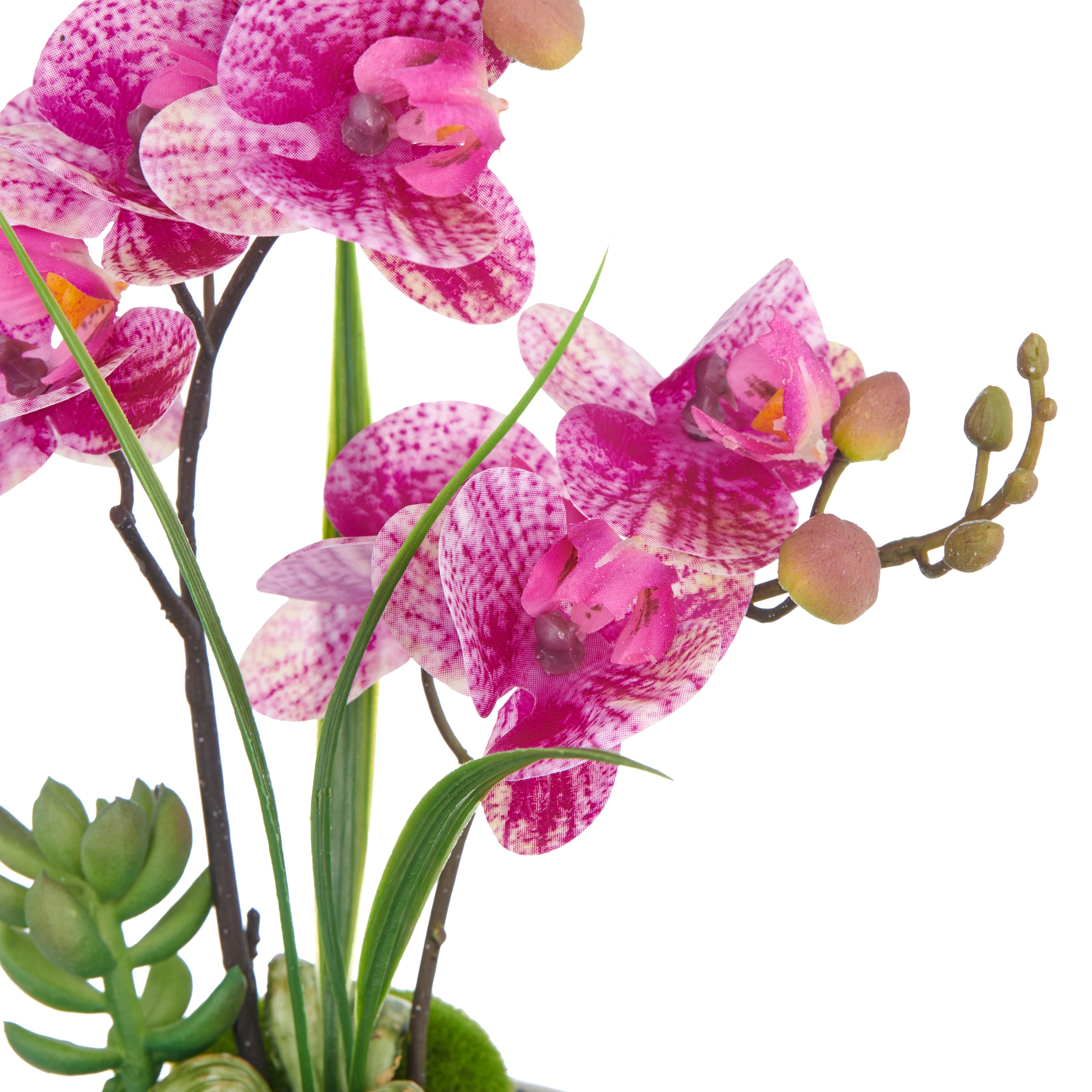 Creativ green Orchidée artificielle »Orchidee Phalaenopsis« mit real-touch-Blüten