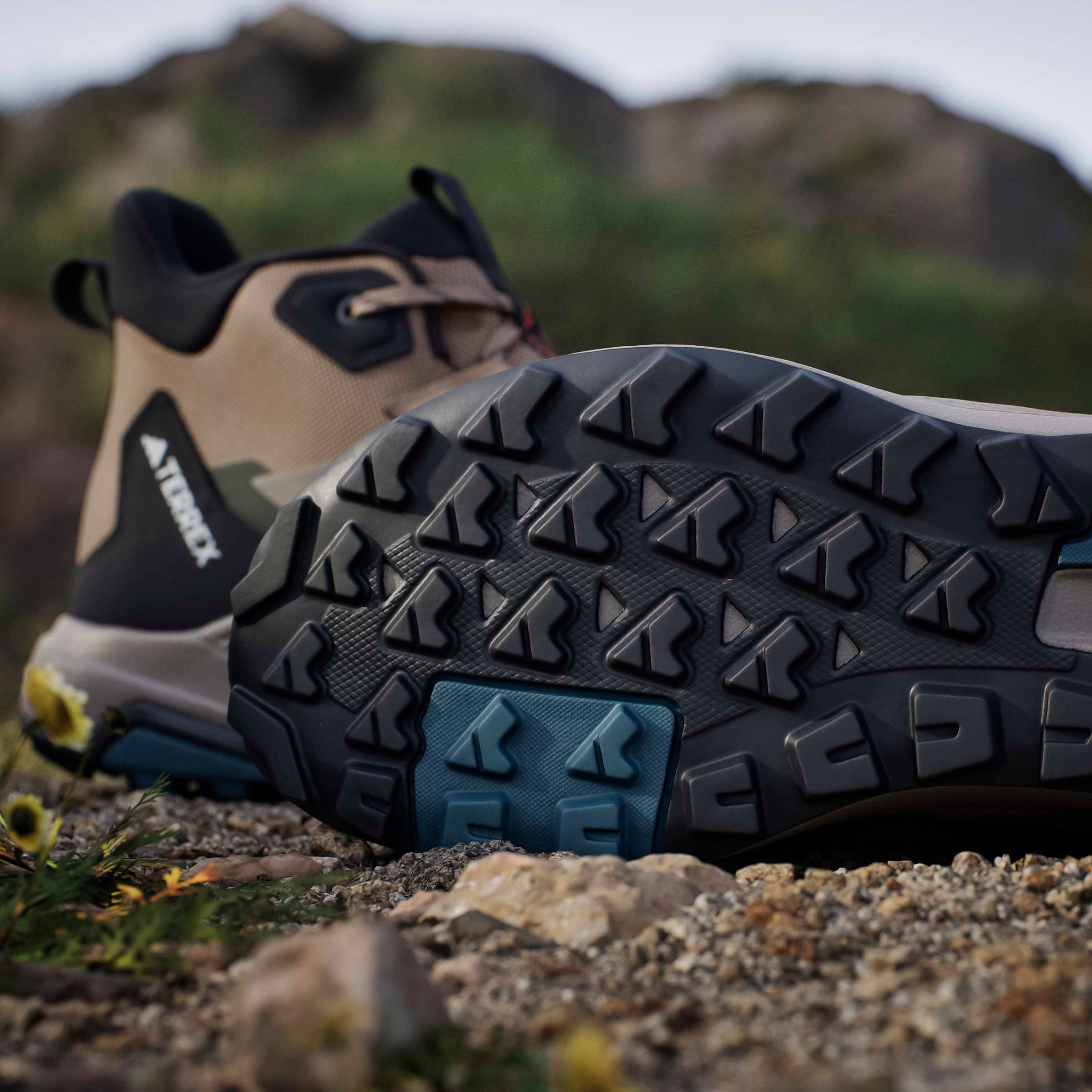adidas TERREX Chaussure de randonnée »ANYLANDER MID«