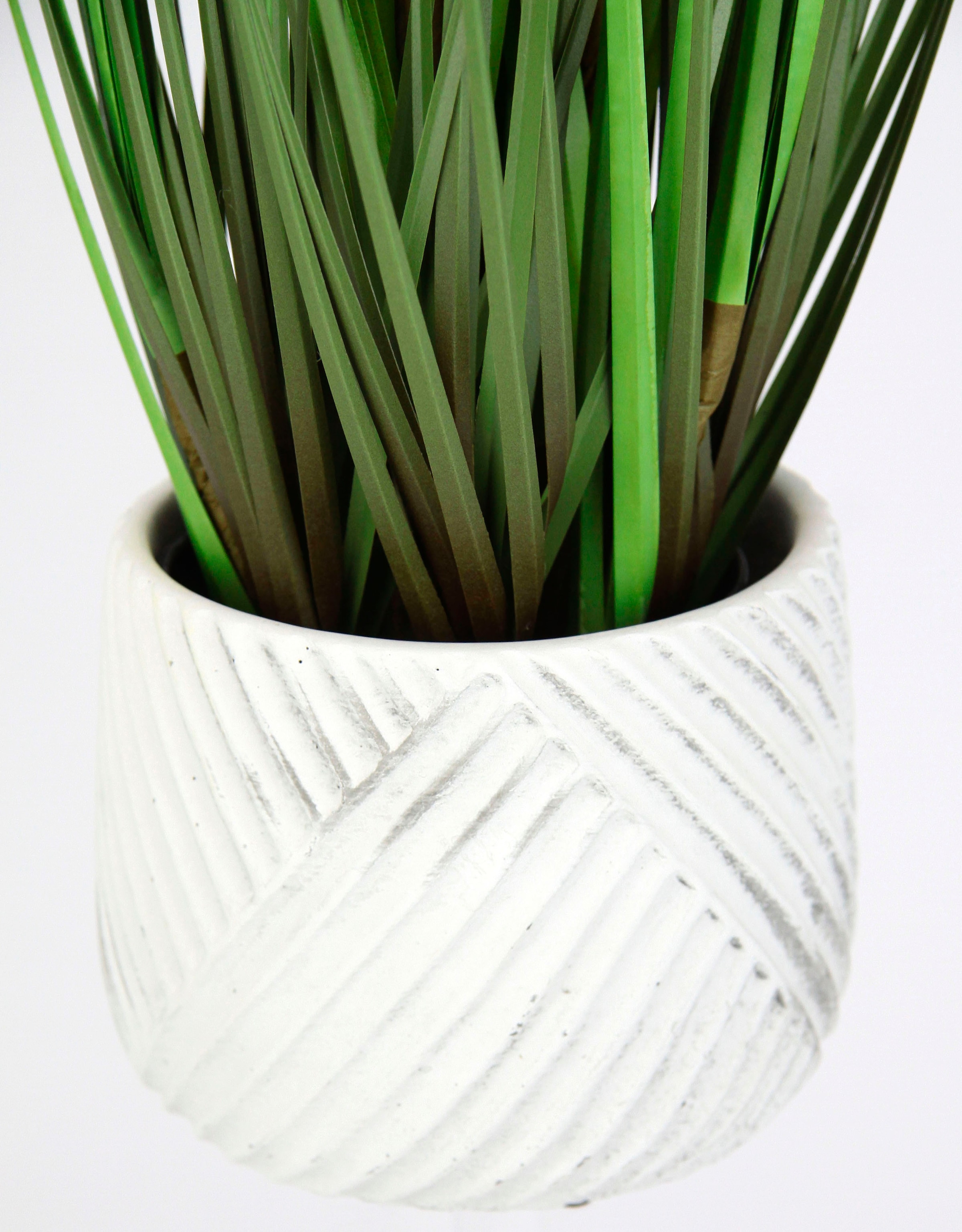 I.GE.A. Plante artificielle »Fuchsschwanzgras« Mit Übertopf Kunstgras Deko Borstenhirse Panicoideae Süssgräser Setaria