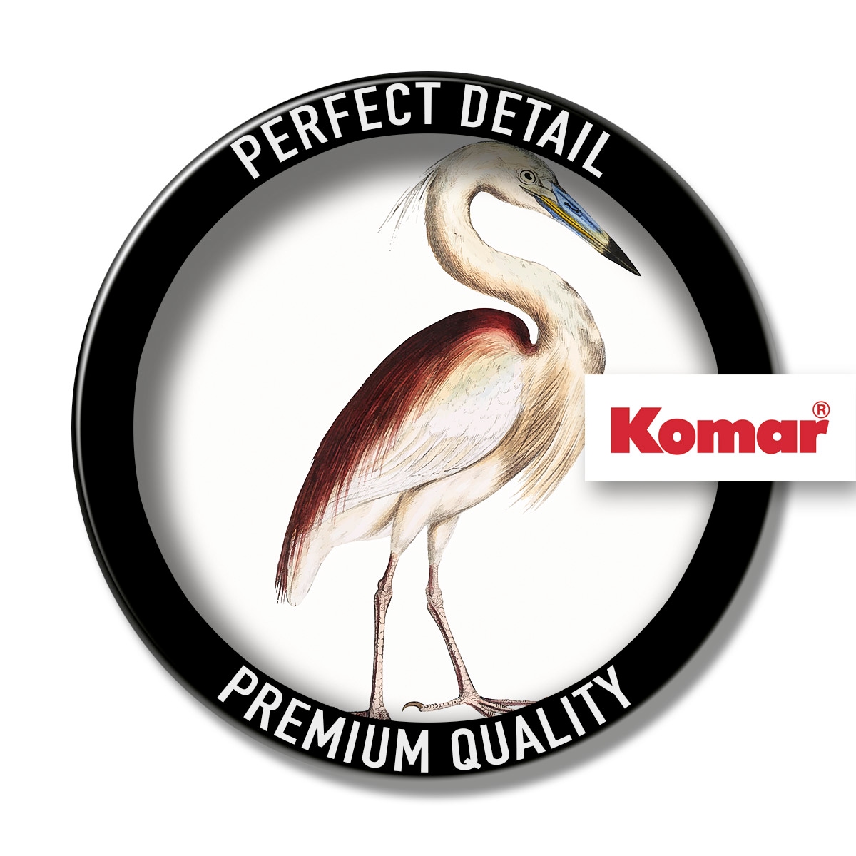 Komar Tableau sur toile »Uncommon Bird - Grösse 40 x 40 cm« 1 cuis tlg. Keilrahmenbild mi Echtholzrahmen