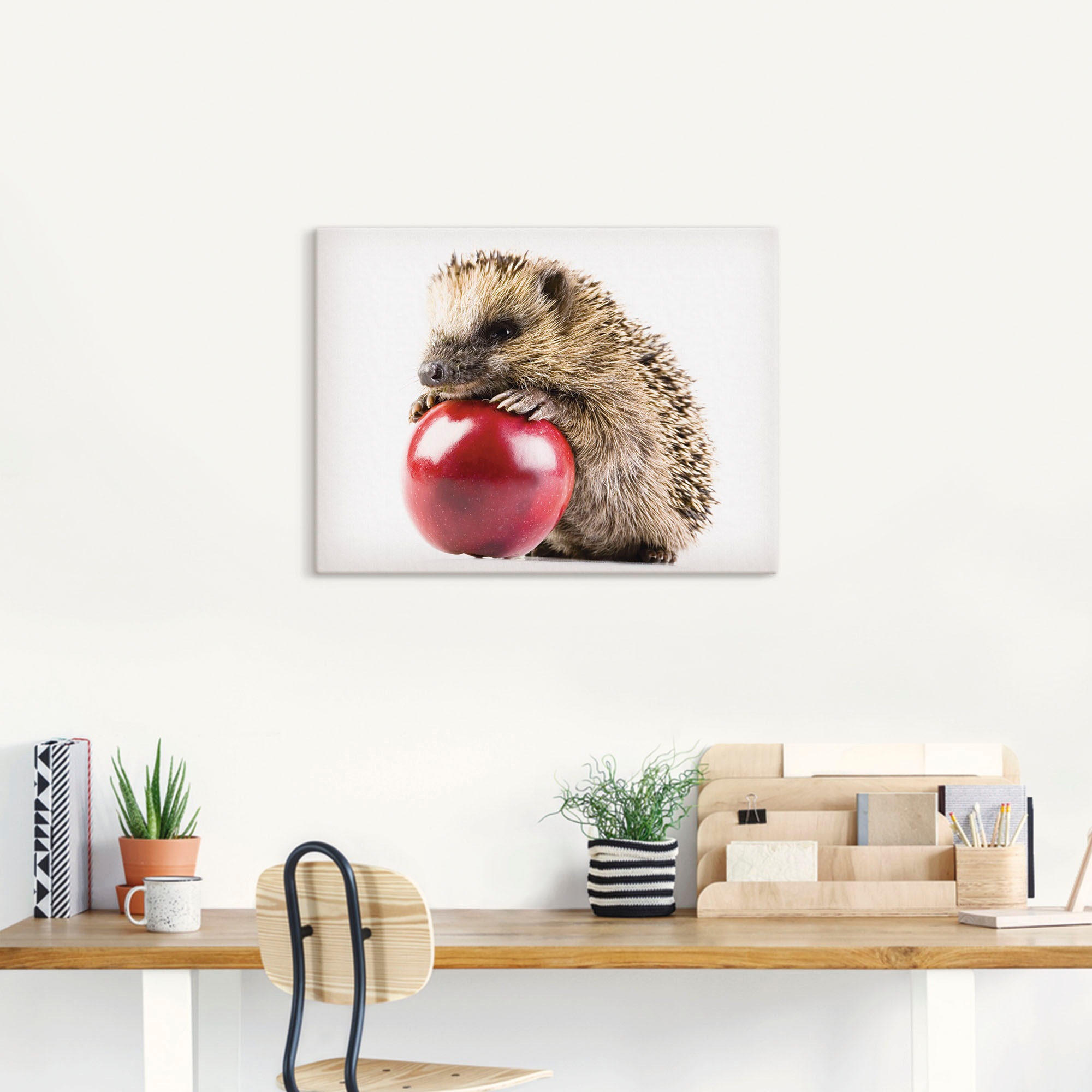 Artland Leinwandbild »Glücklicher Igel« Wildtiere 1 Stk. tlg. auf Holzrahmen gespannt