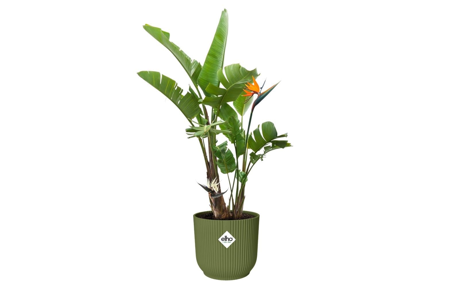 Elho Pot de fleurs »Vibes Fold Rund 47 cm«