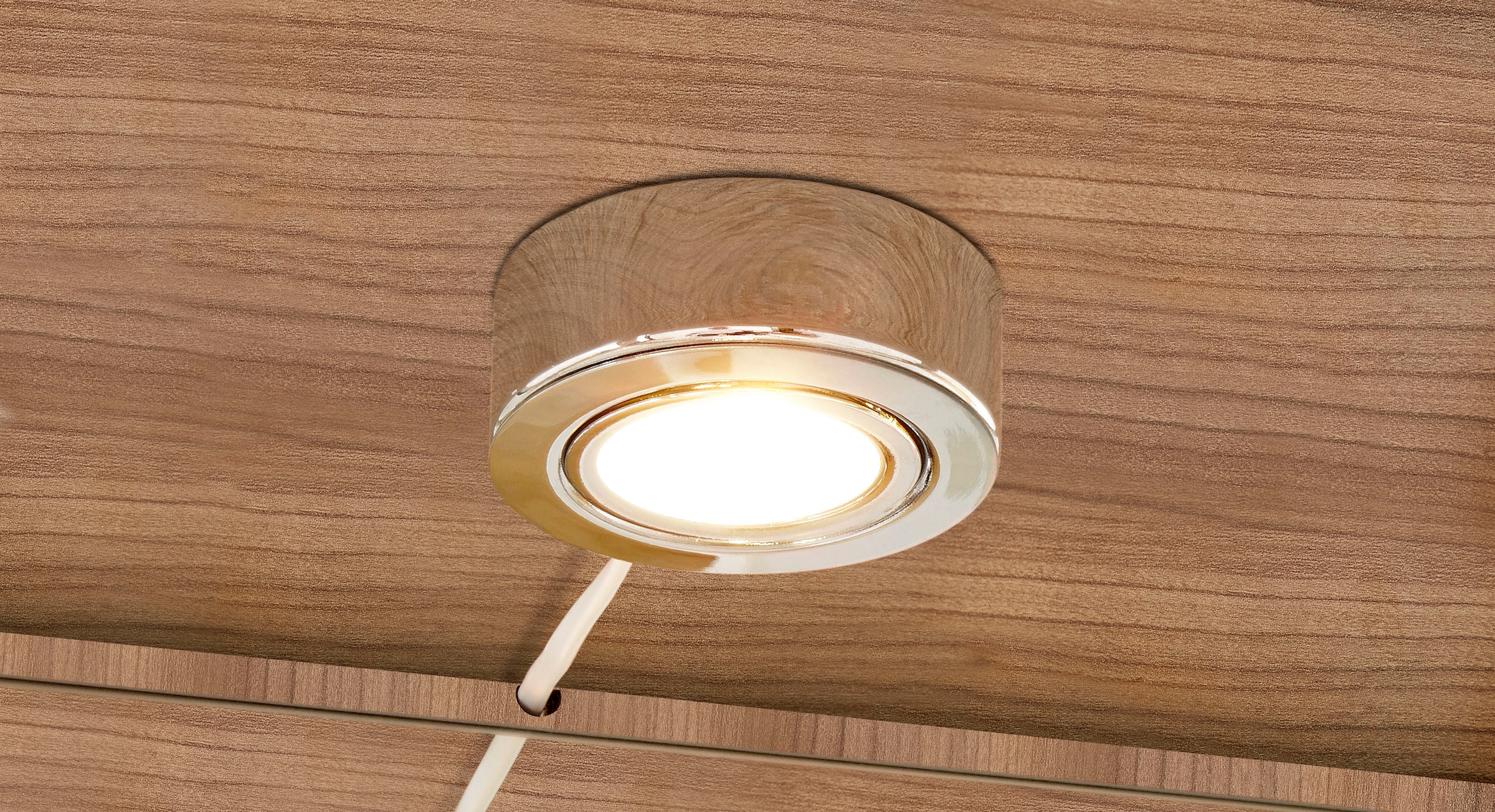 fif möbel Vitrine »OPTIMA« Standvitrine/Glasvitrine 2x Glastür,perfekt für Sammler,Sammlervitrine