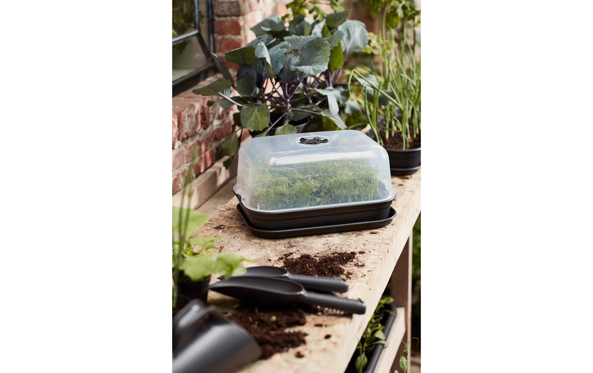 Elho Pot de culture »Anzuchtset M Green Basics«