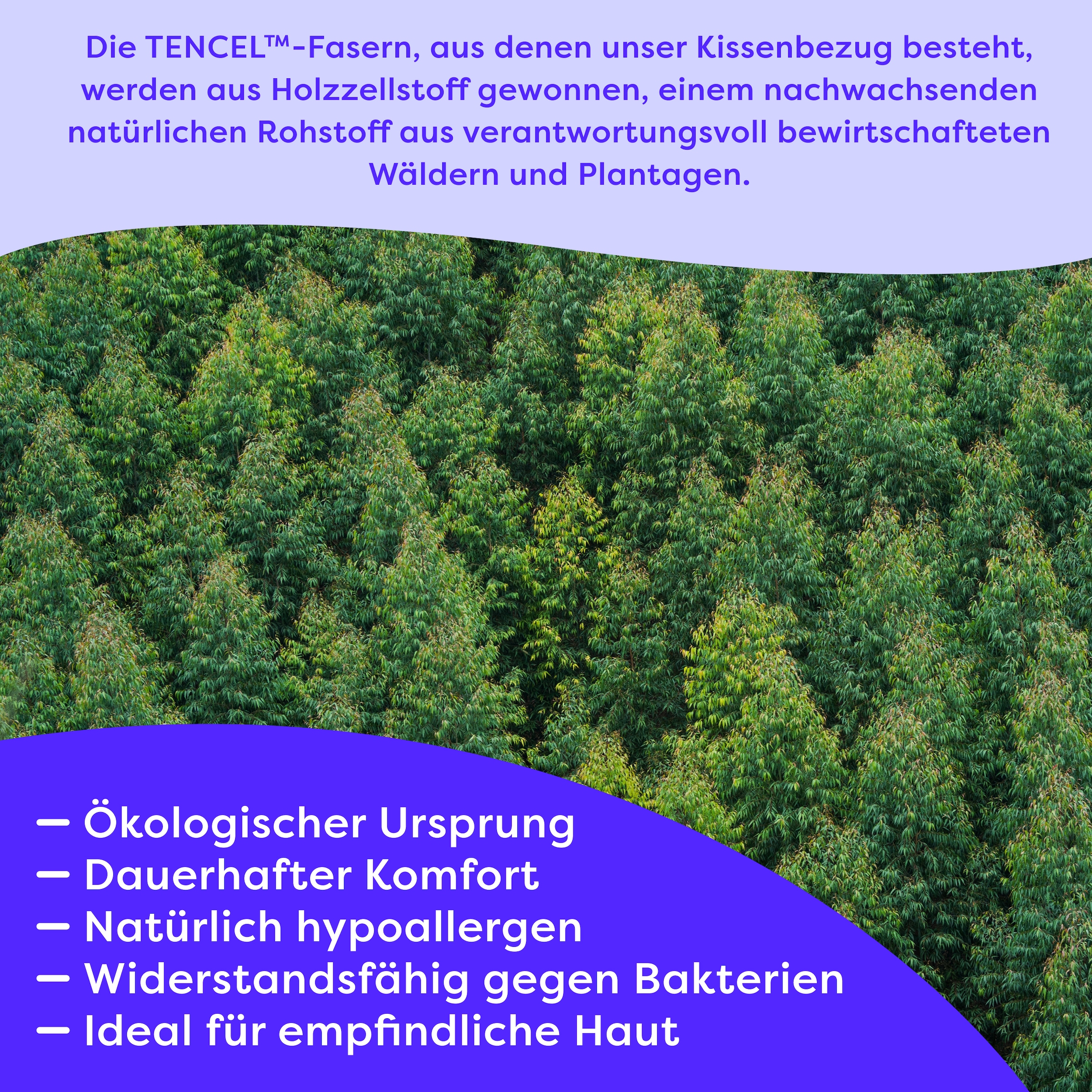 Wolkenfeld Oreiller pour bébé »Eron Kinderkissen« Weiches und Atmungsaktives Kinderkopfkissen - Natürliches Memory Foam