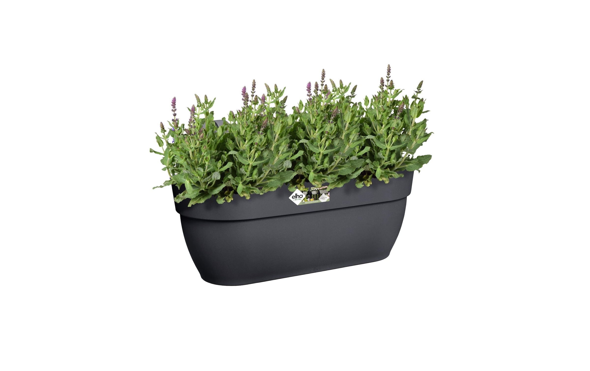 Elho Pot de fleurs »Vibia Campana Easy Aufhänger Gross«