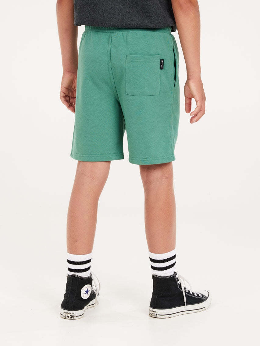 Protest Short »SHORTS PRTCLINT JR«