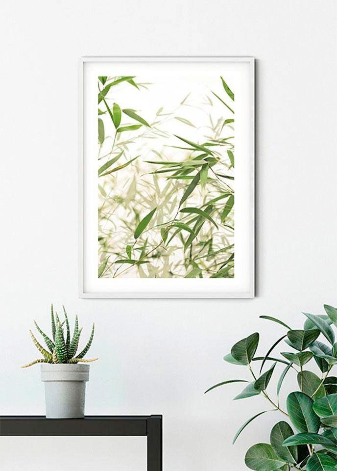 Komar Image »Bamboo Leaves« Feuilles | Plantes 1 cuis tlg. tableau mural décoratif - sans cadre