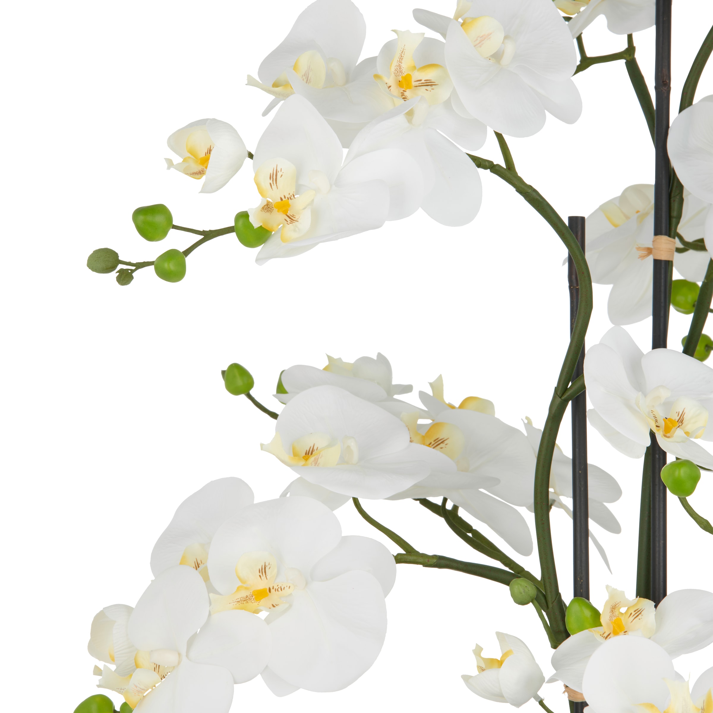 Creativ green Kunstorchidee »Orchidee Phalaenopsis« mit künstlichem Erdballen