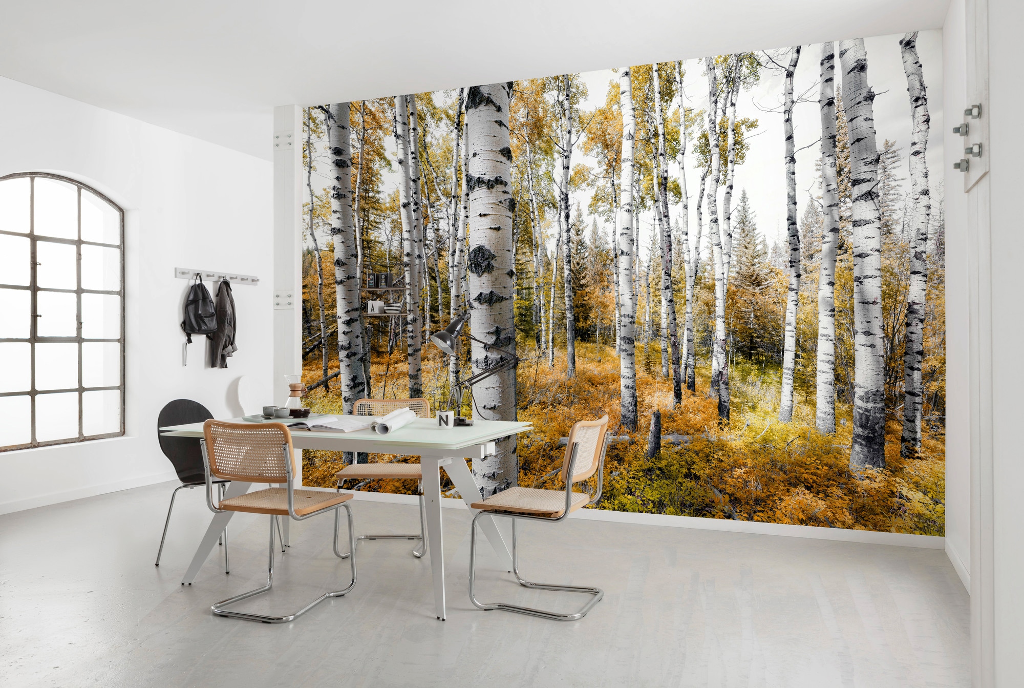 Komar Papier peint intissé »Digitaldruck Vlies -  Colorful Aspenwoods - Grösse 450 x 280 cm« imprimé Wohnzimmer, Schlafzimmer