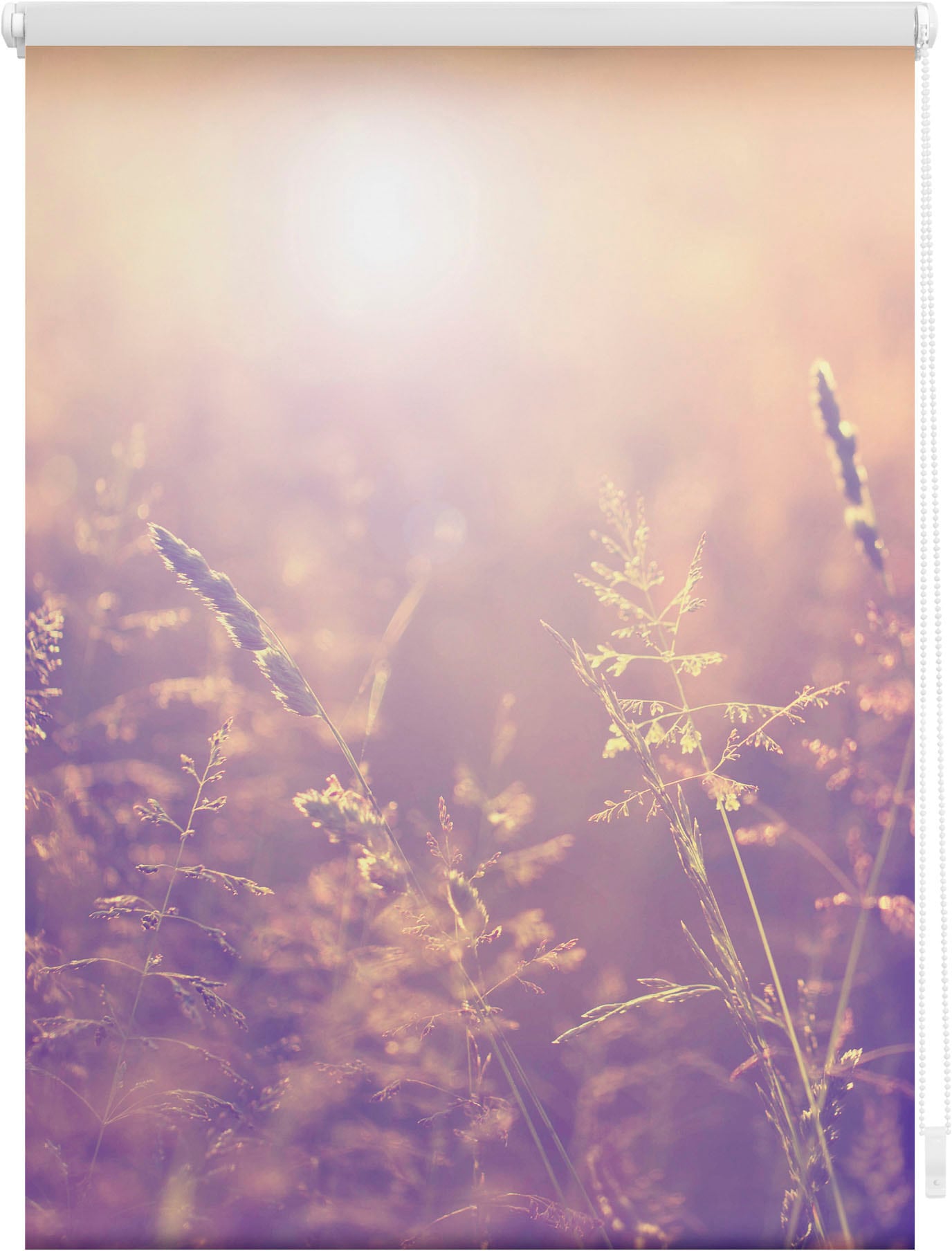 LICHTBLICK ORIGINAL Seitenzugrollo »Rollo Klemmfix, ohne Bohren, Verdunkelung, Sommerabend - Orange« verdunkelnd Verdunkelung | energiesparend freihängend