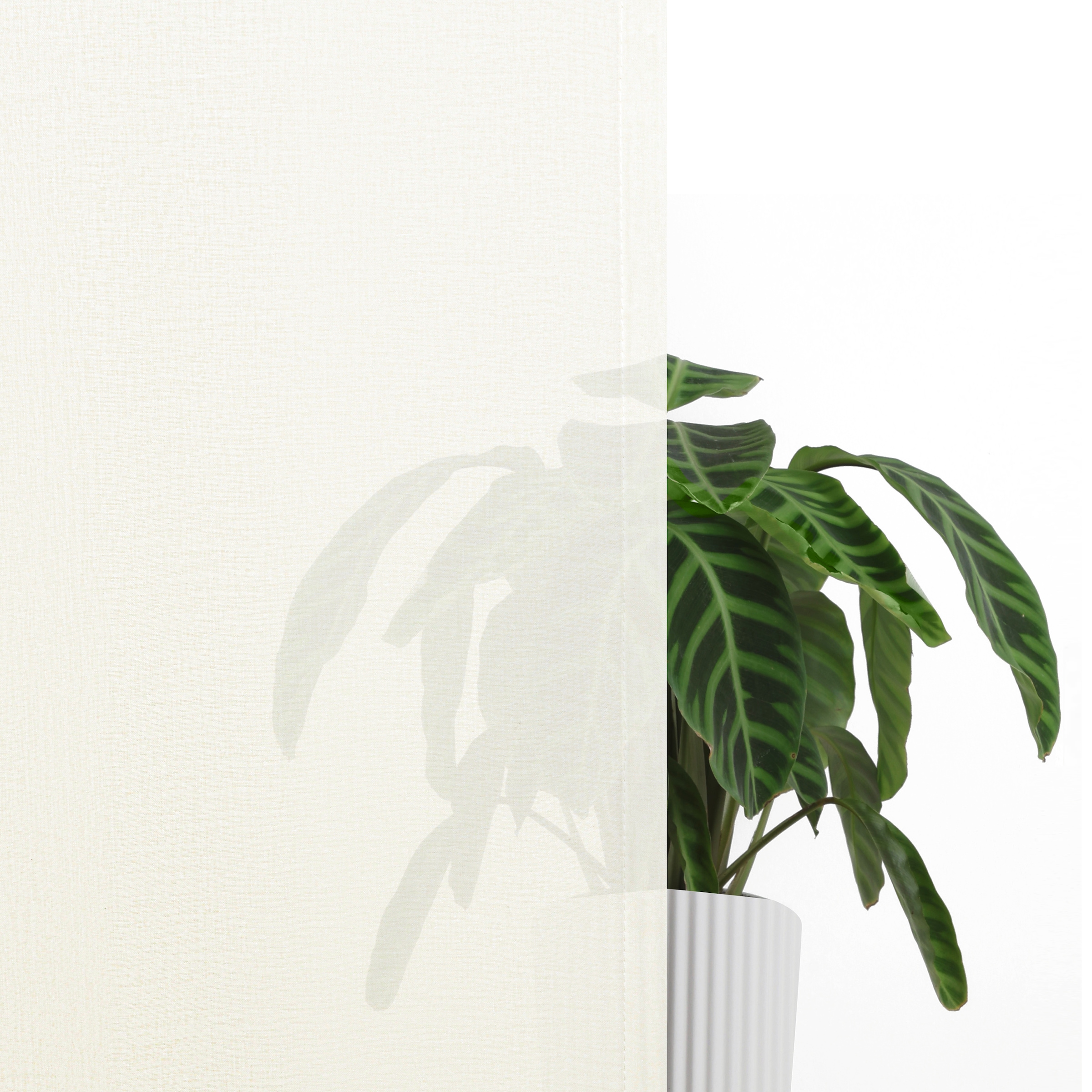 GOODproduct Rideau »Dolly, 1 Stück, transparent, gewebt« Œillet 1 cuis tlg. transparent, tissé, polyester