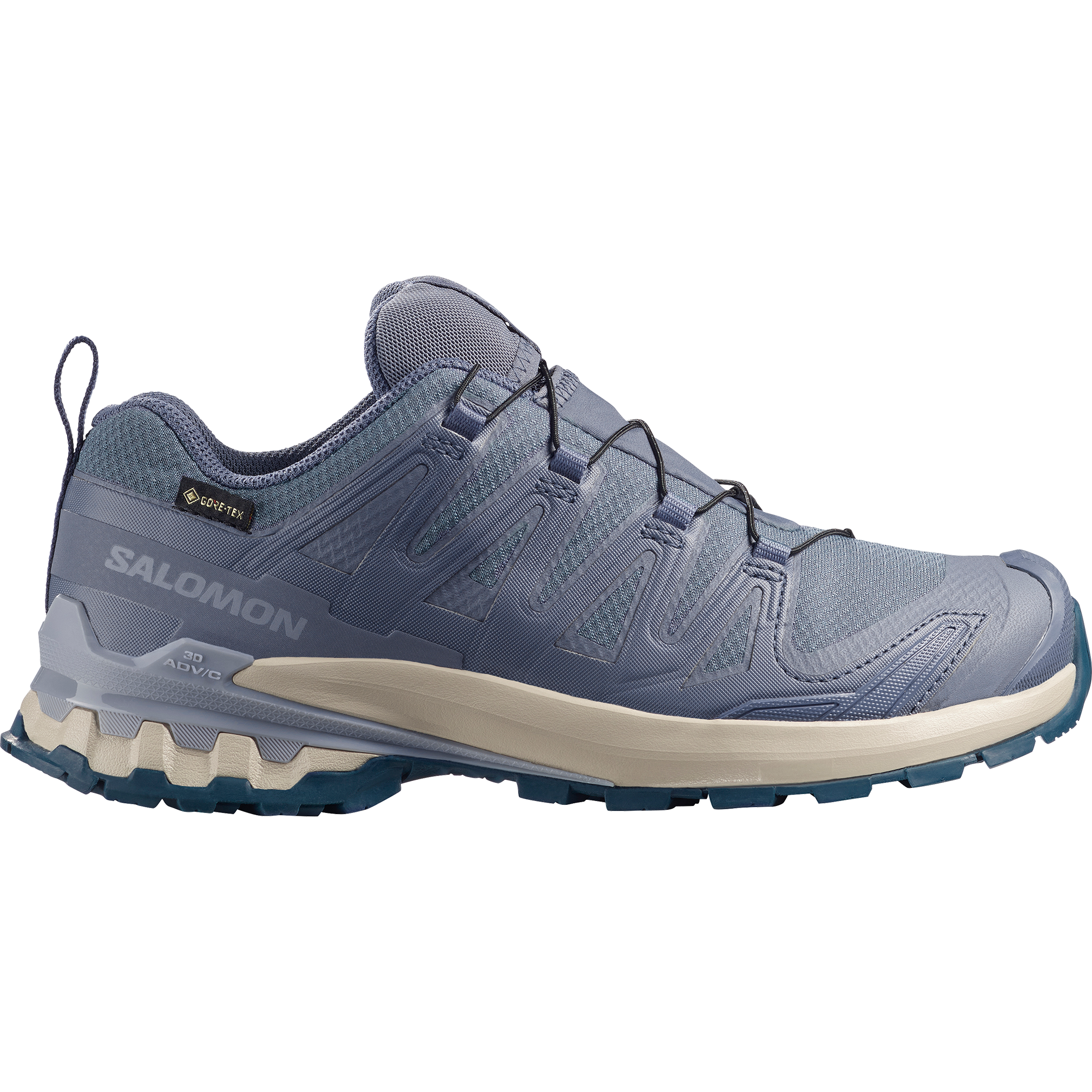 Salomon Trailrunningschuh »XA PRO 3D V9 GORE-TEX«  wasserdicht