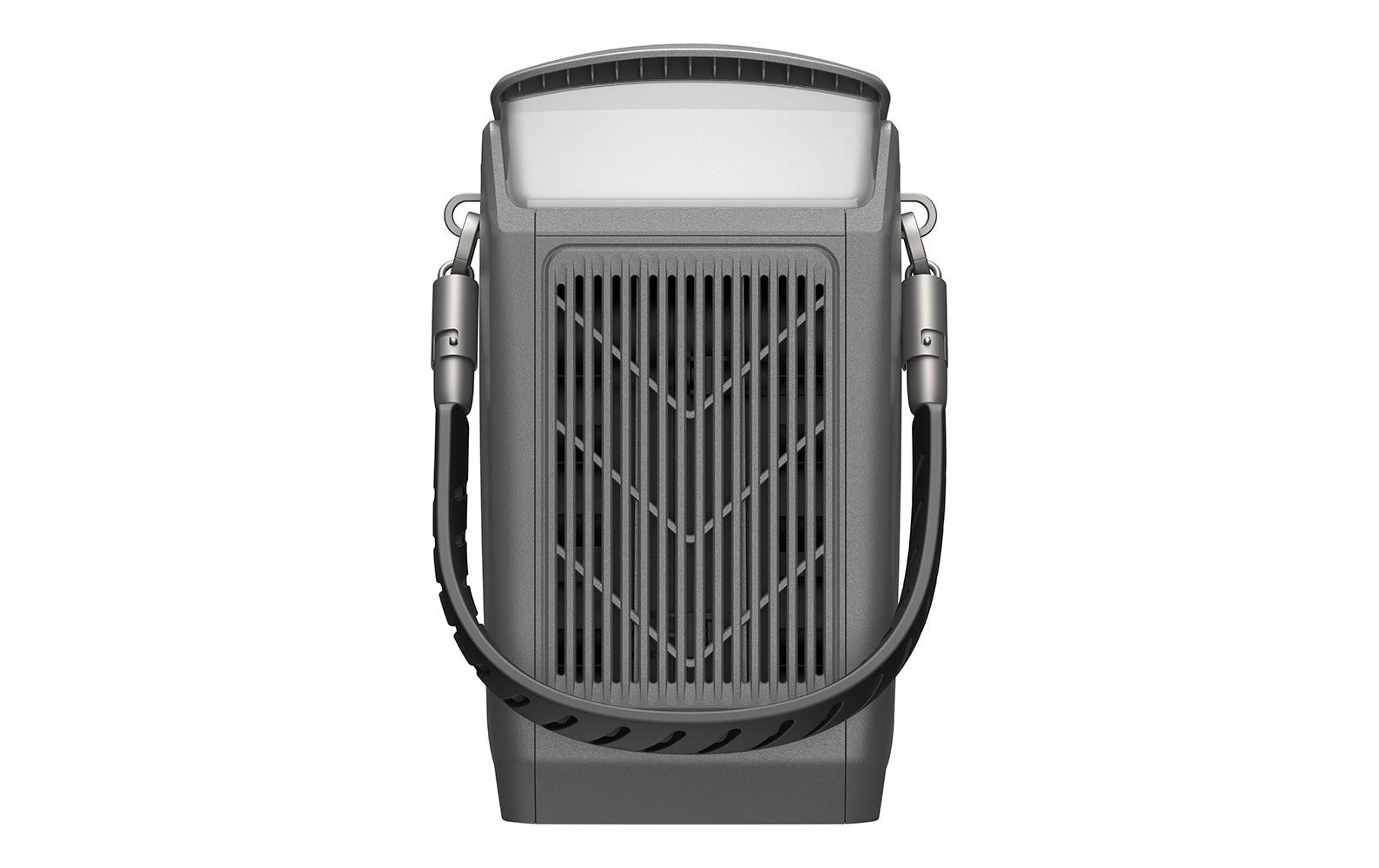 Ecoflow Station d'énergie »TRAIL Plus 300 DC 288 Wh«