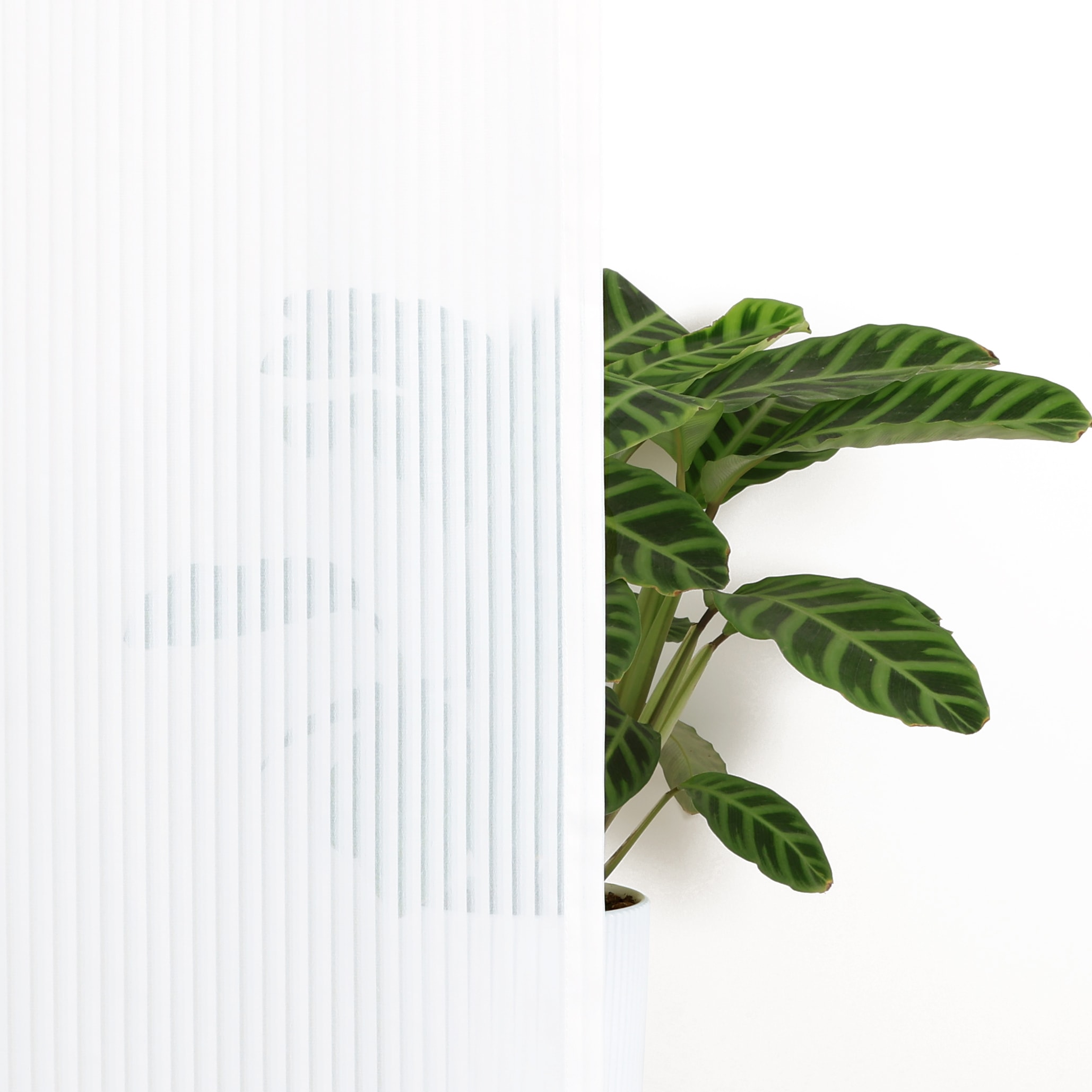 GOODproduct Gardine »Fritty« Multifunktionsband 2 Stk. tlg. Multifunktionsband, transparent, moderne Längststreifen, Ausbrenner
