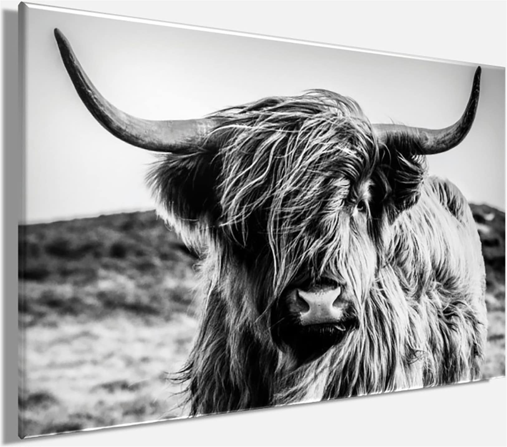 Bönninghoff Tableau sur toile »Wandbild HOCHLANDRIND – Leinwandbild Keilrahmen Deko modern« Bœuf des Highlands | Images de vaches | Vache 1 cuis tlg. tendu sur châssis