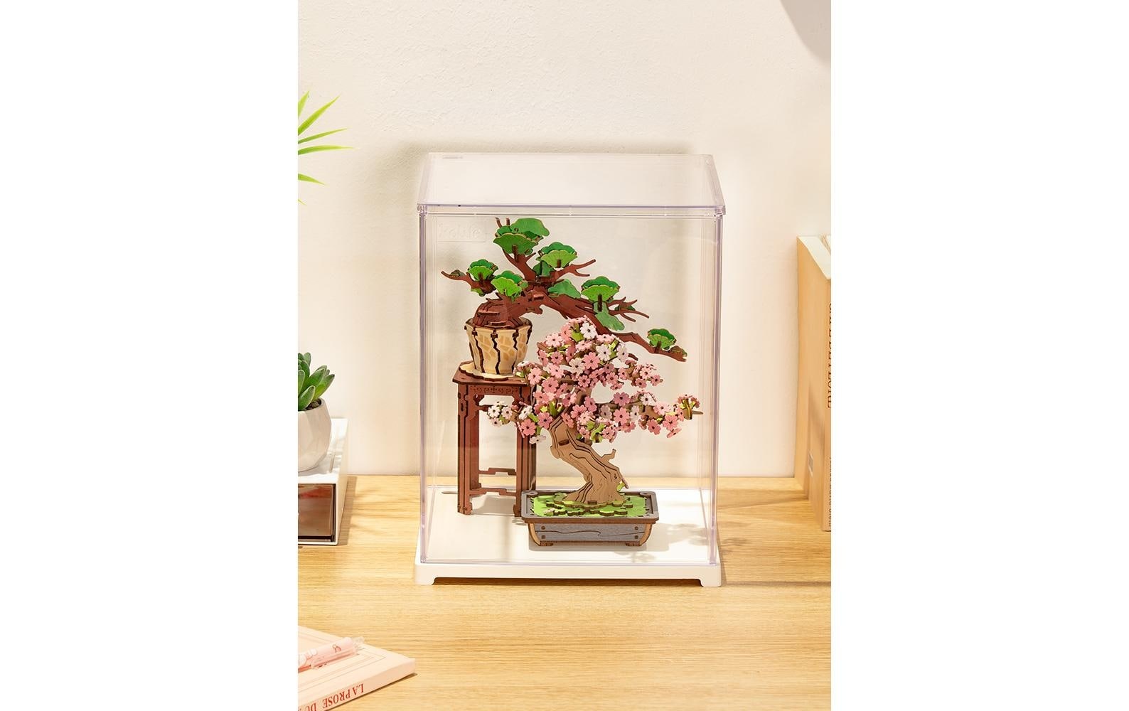   Modellbausatz »Rolife Display box 250 x 249 x 310 mm« 6 Stk. tlg.
