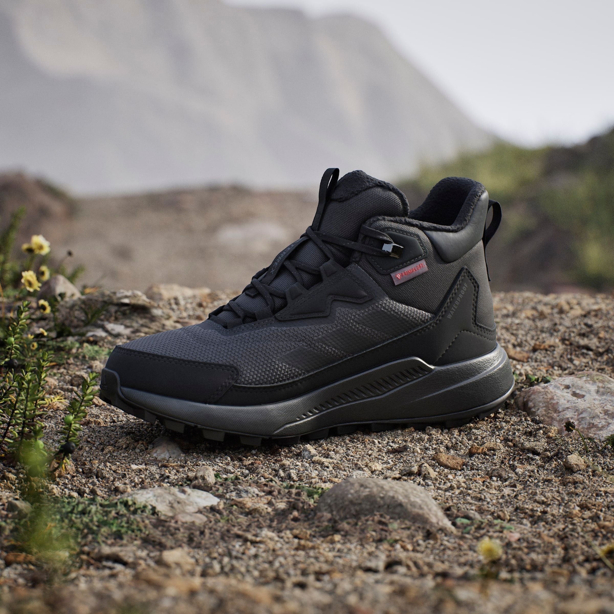 adidas TERREX Chaussure de randonnée »ANYLANDER CLIMAWARM+ E«