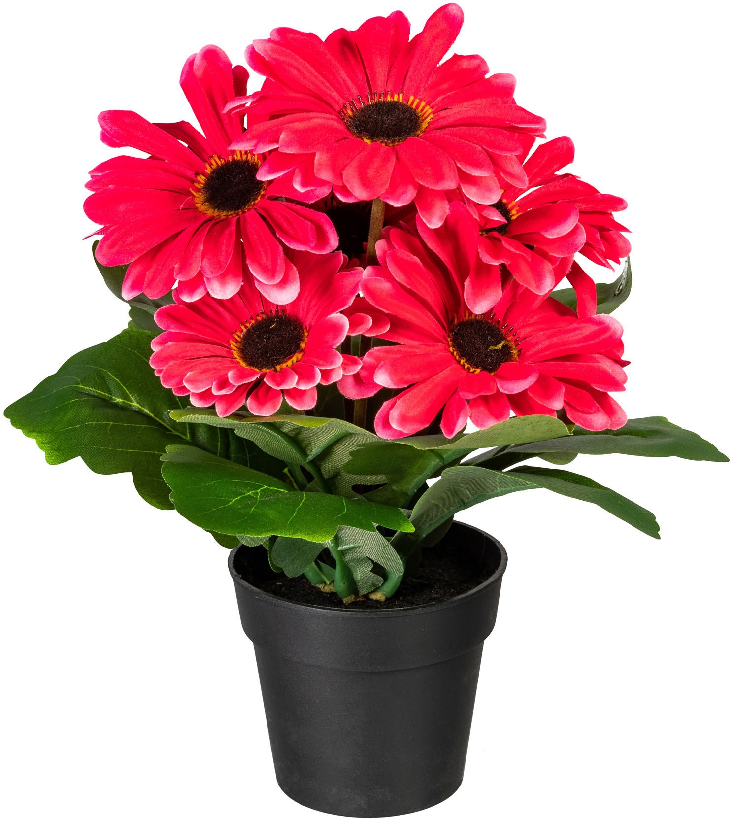 my home Plante artificielle »Elaine« im Topf, 2er Set