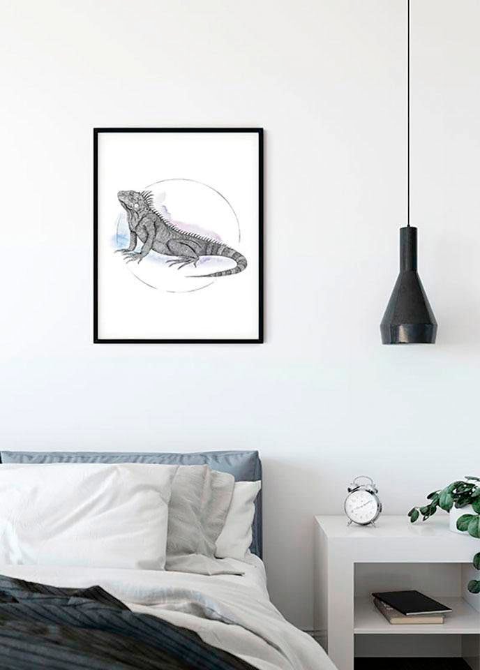 Komar Image »Iguana Watercolor« 1 cuis tlg. Wandbild zur Dekoration - ohne Rahmen