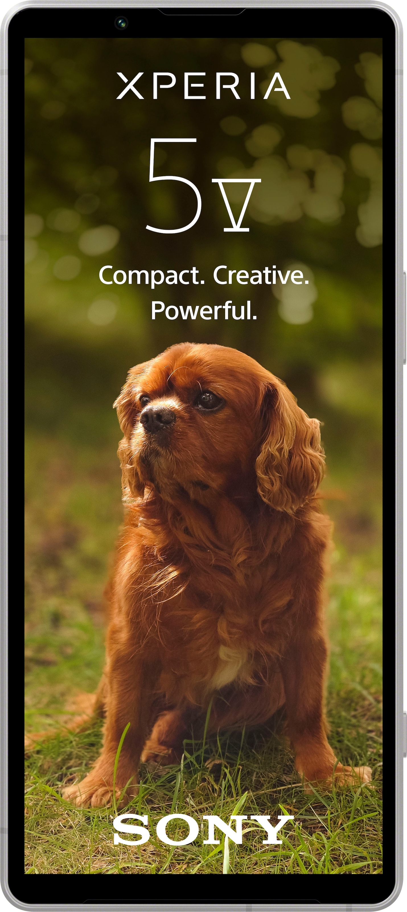 Sony Smartphone »XPERIA 5V« platin-silber