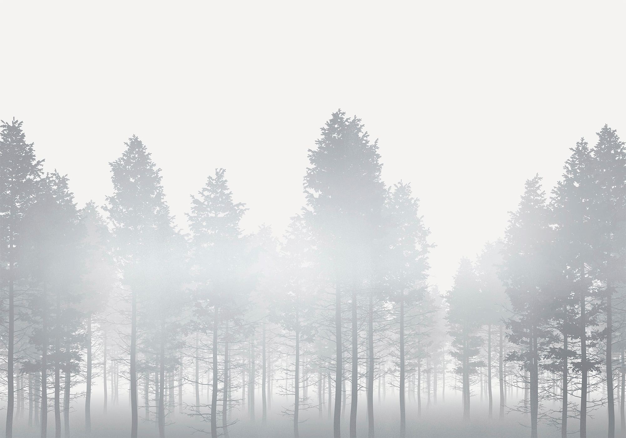 Komar Vliestapete »Digitaldruck Vlies -  Silver Haze - Grösse 400 x 280 cm« bedruckt glatt Wohnzimmer, Schlafzimmer