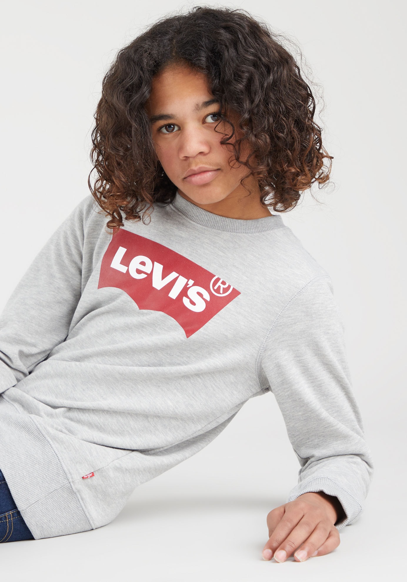 Levi's® Kids Sweatshirt »LVB LVB FRENCH TERRY BATWING«, mit grossem Logo
