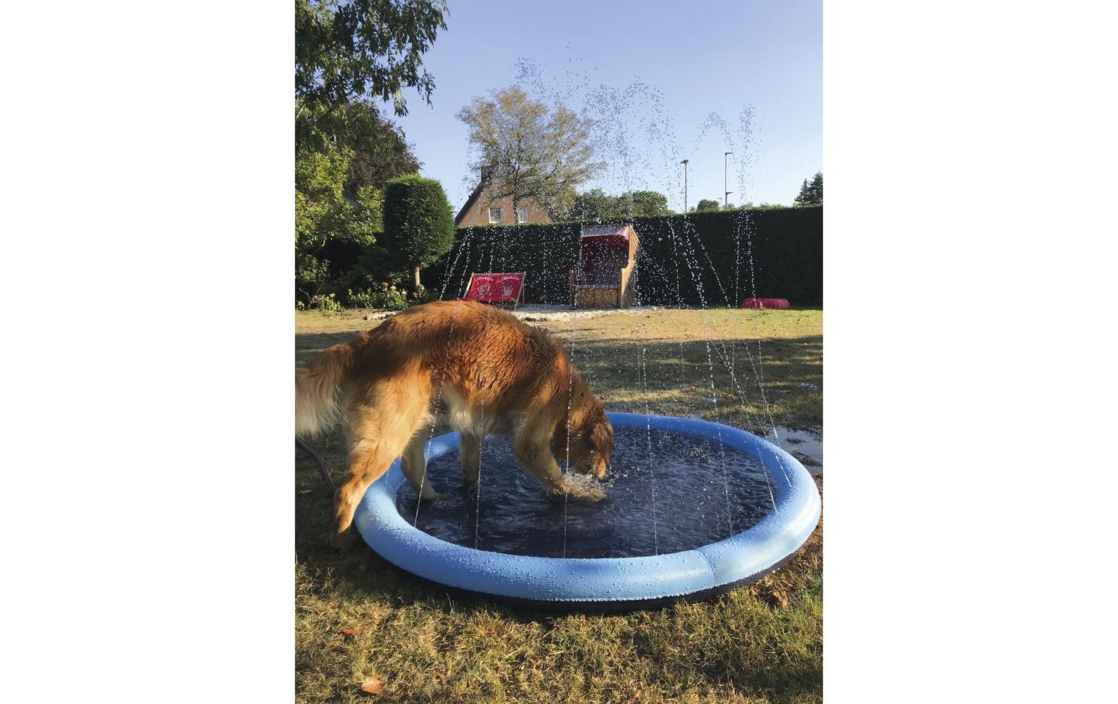 Nobby Hundepool »Splash, Ø 150 cm«