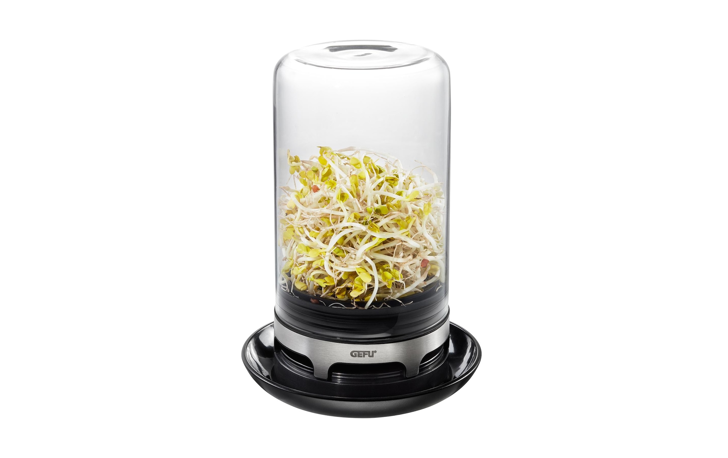 GEFU Salatbox »Bivita 0.75 l«