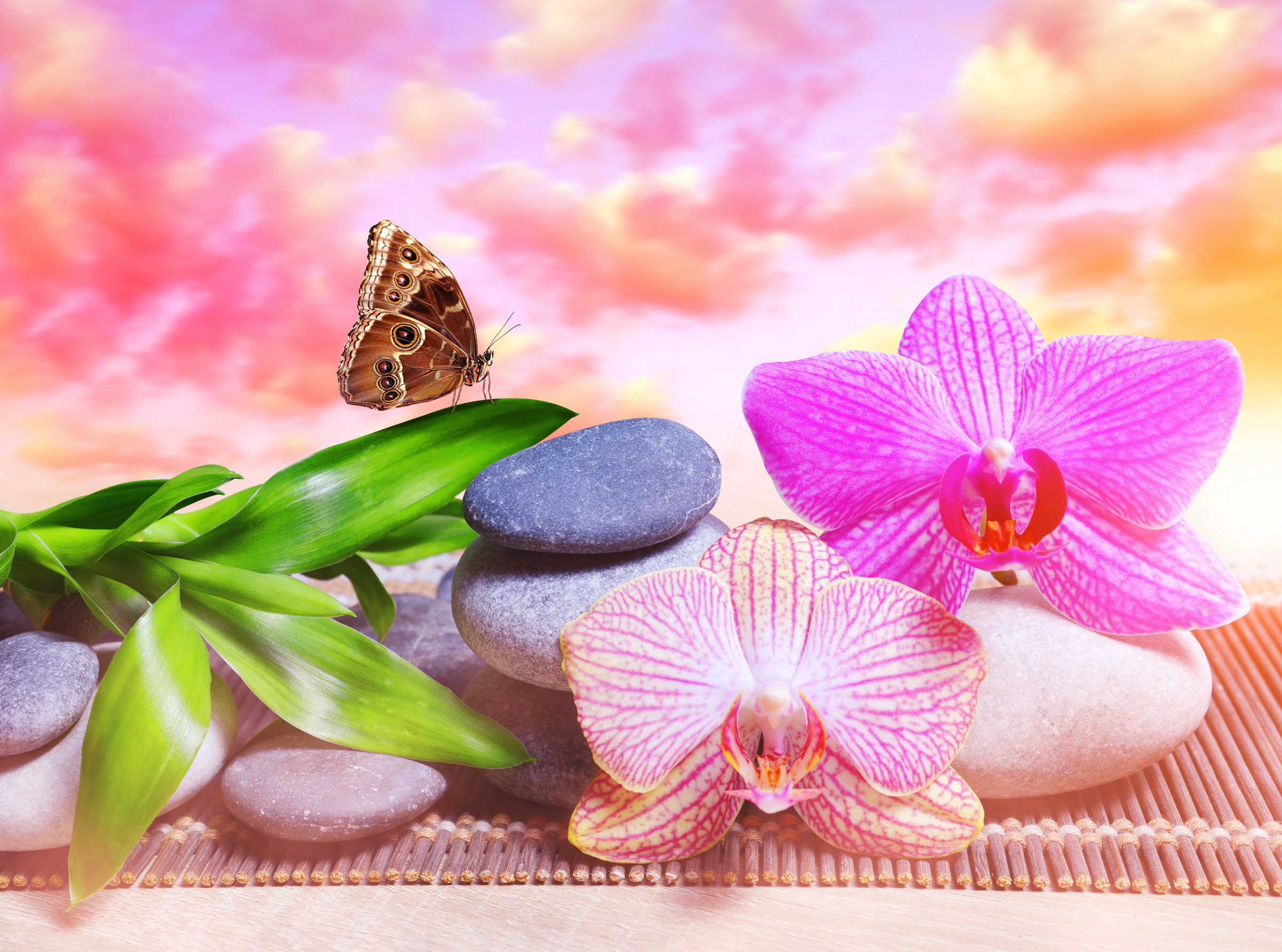 Papermoon Papier peint photo »BLUMEN ABSTRAKT-MUSTER DESIGN SCHMETTERLING BLUME ZEN«